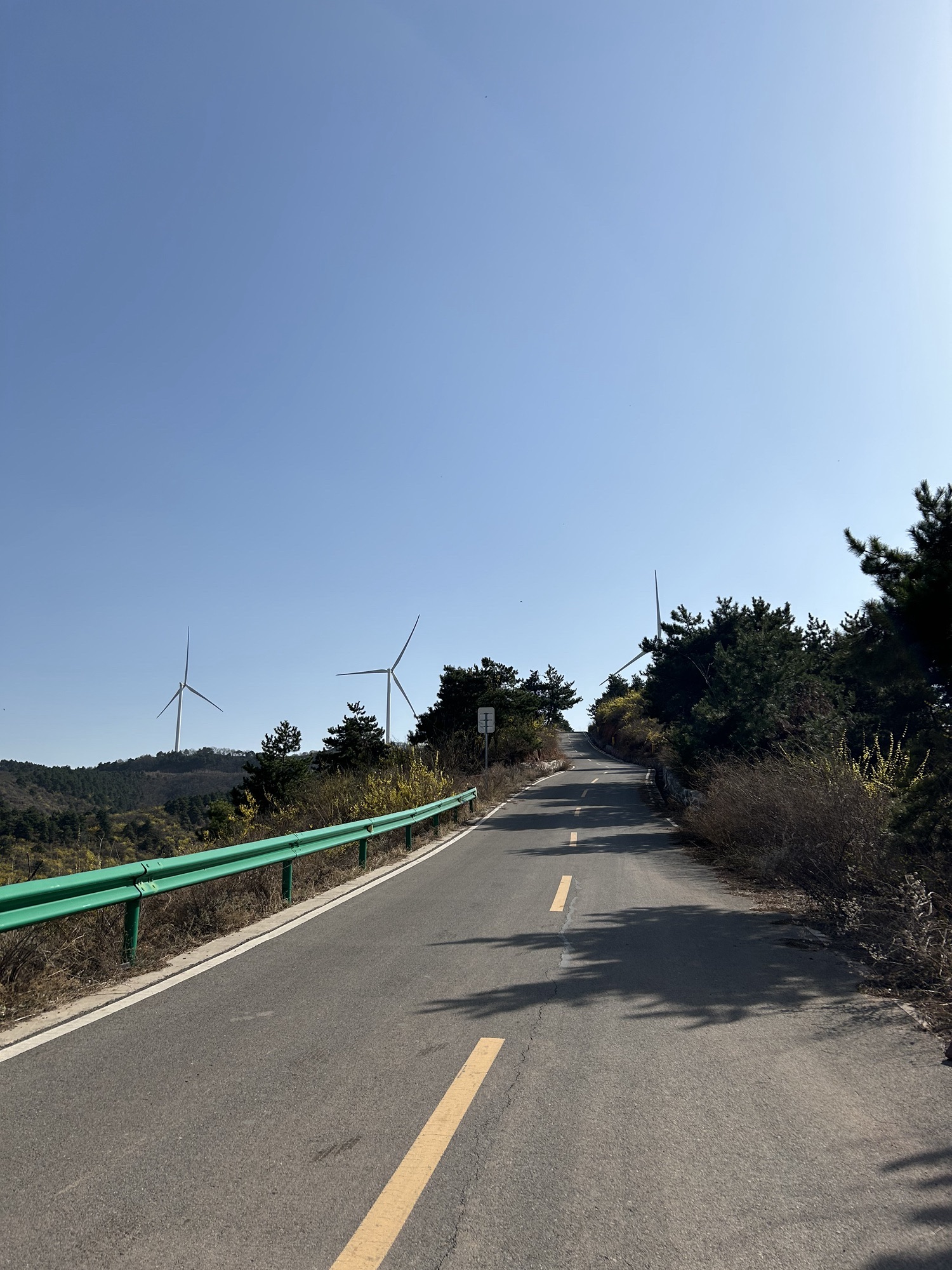 金山银山风景道旅行图片 1