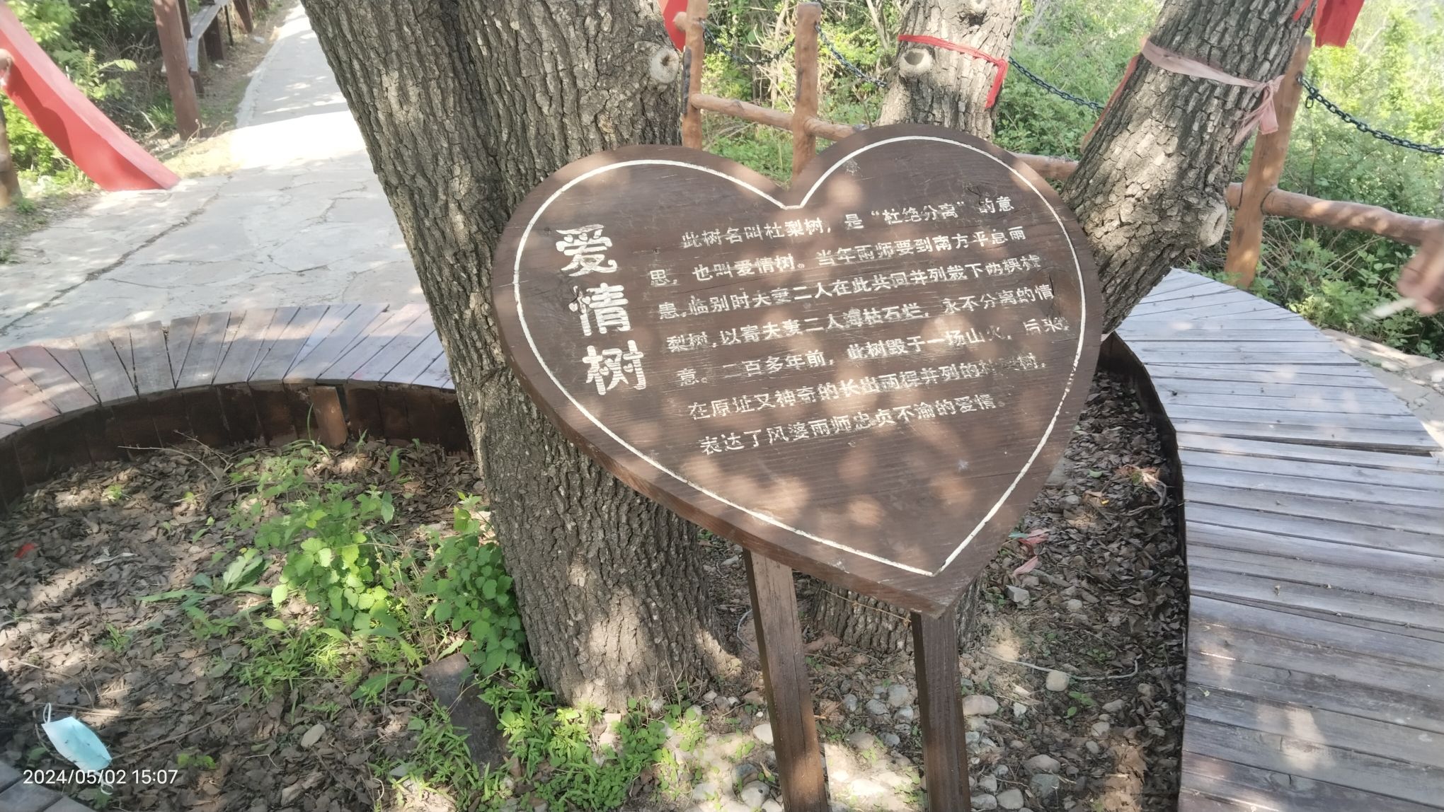 金山银山风景道旅行图片 3