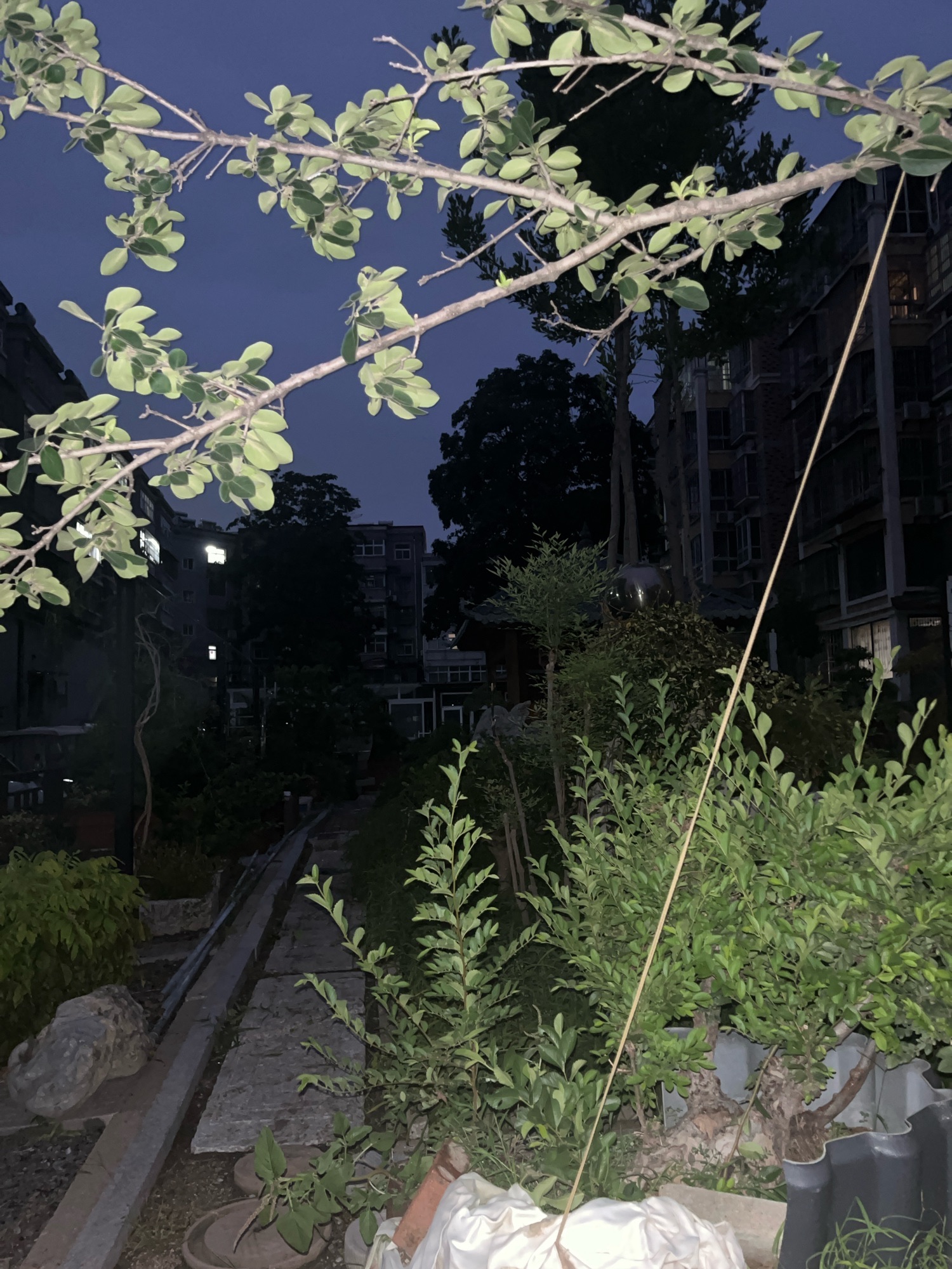 景园旅行图片 2