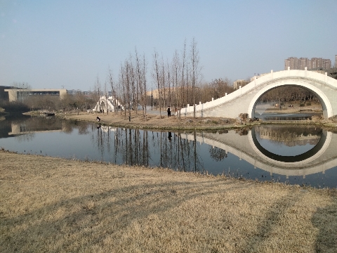 小南湖湿地公园旅行图片 1