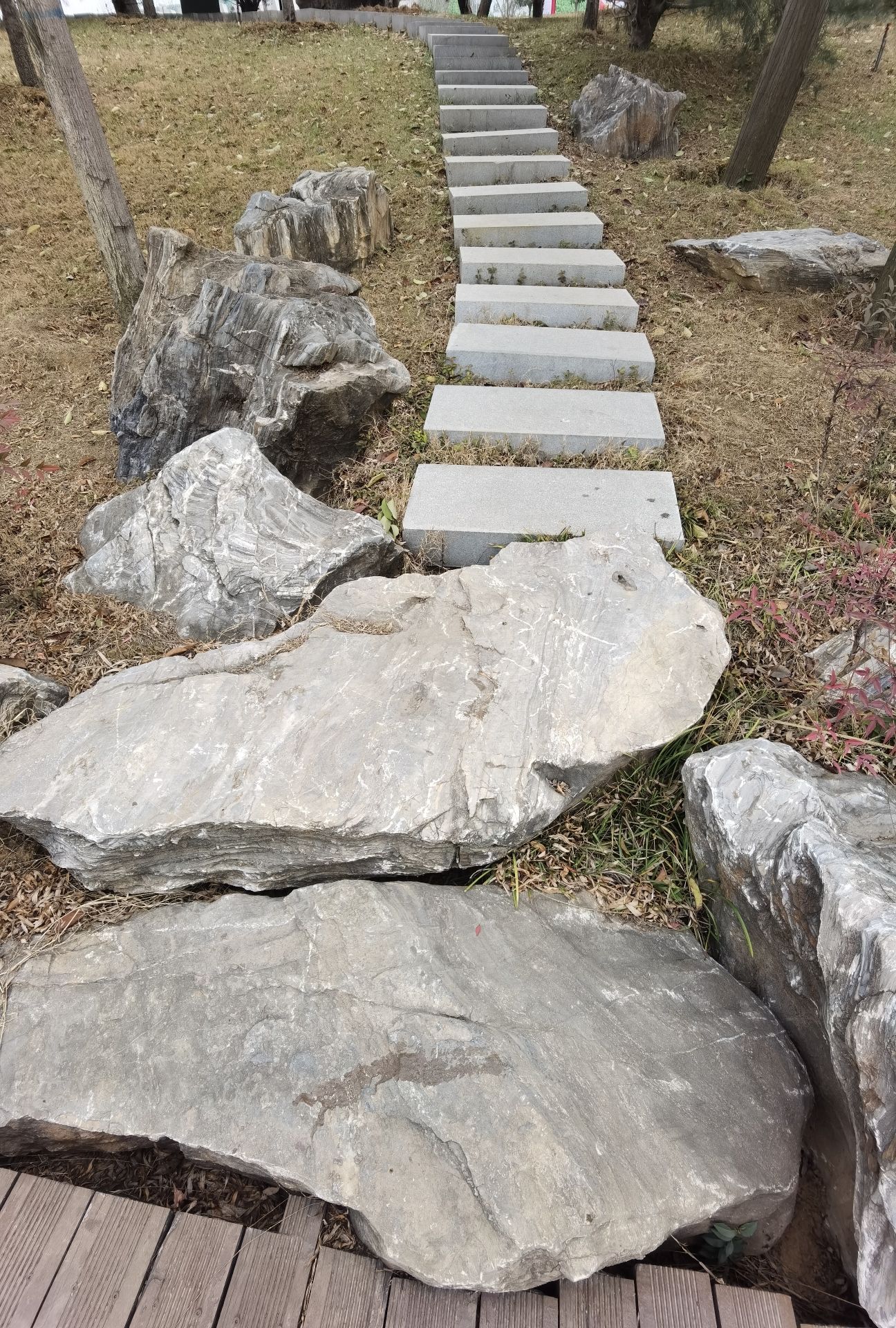 小南湖湿地公园旅行图片 2