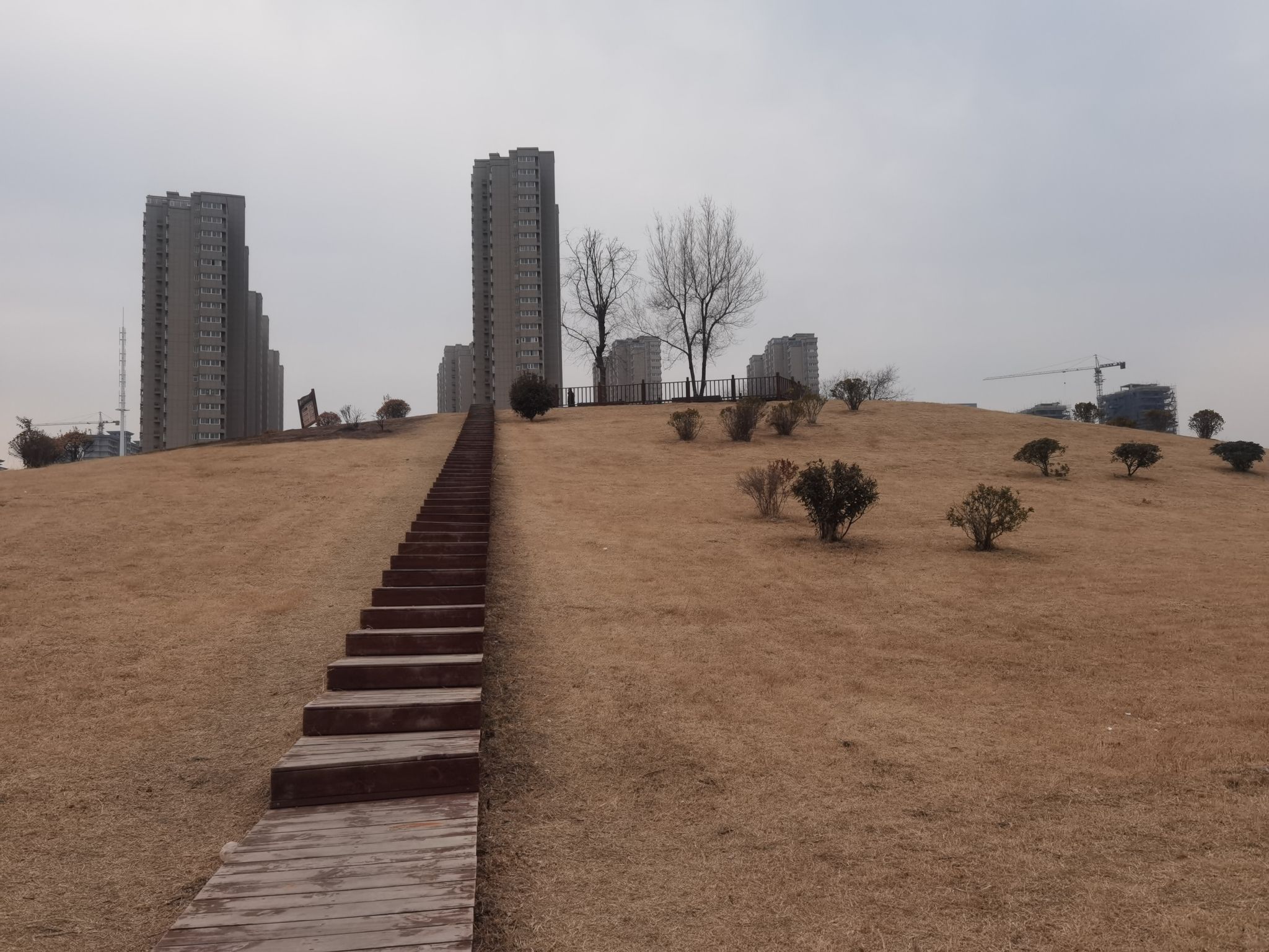 小南湖湿地公园旅行图片 1