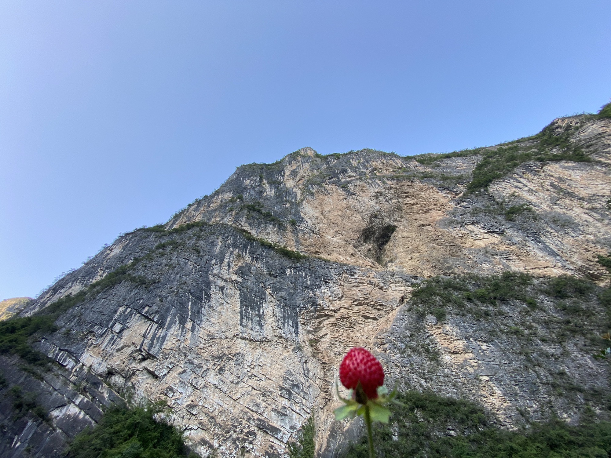 虎爪峡旅行图片 1