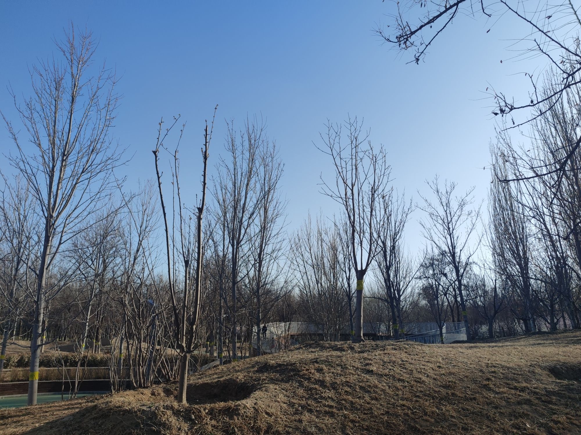 永顺公园旅行图片 3