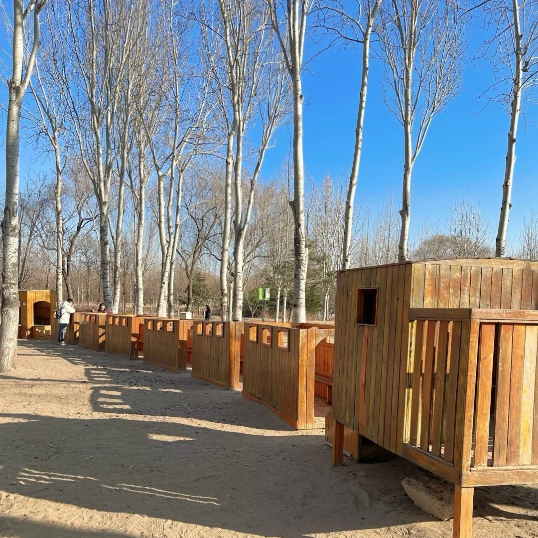 永顺公园旅行图片 1