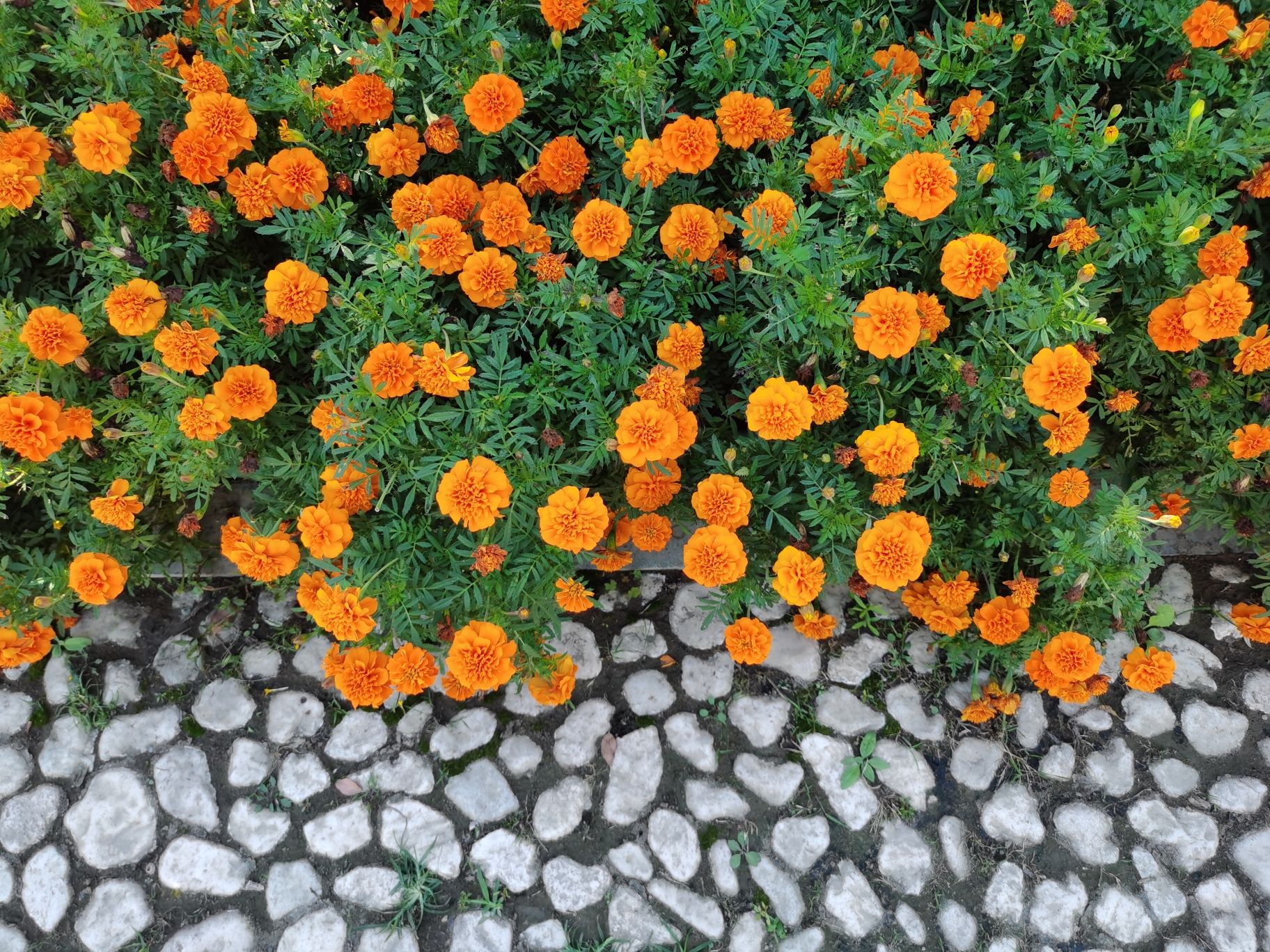 永顺公园旅行图片 3