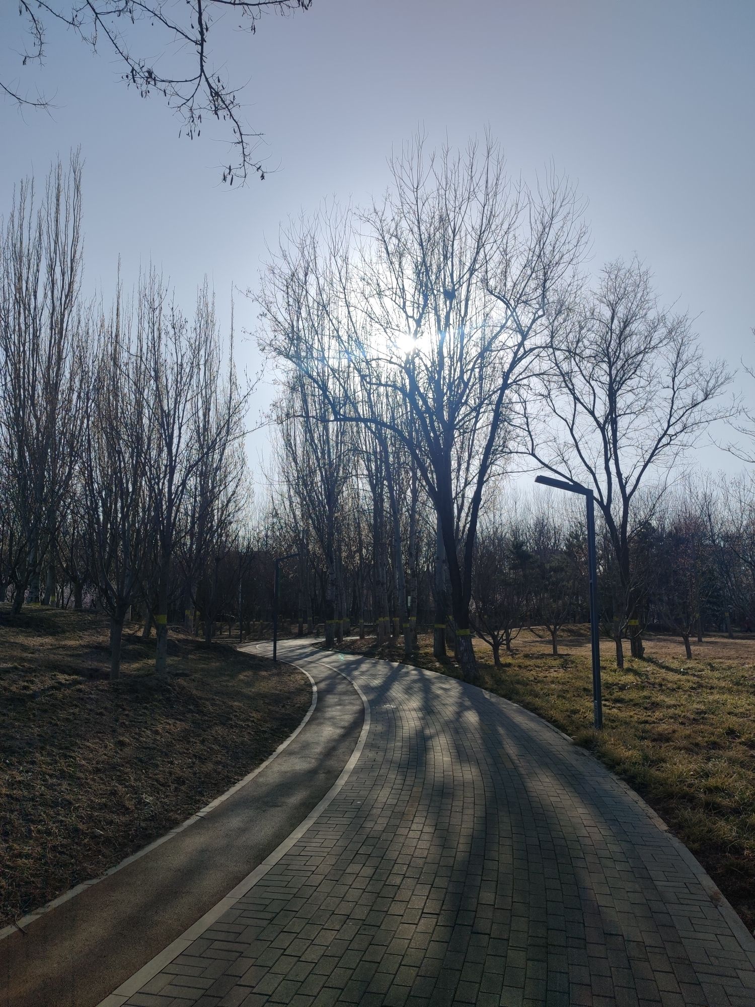 永顺公园旅行图片 2