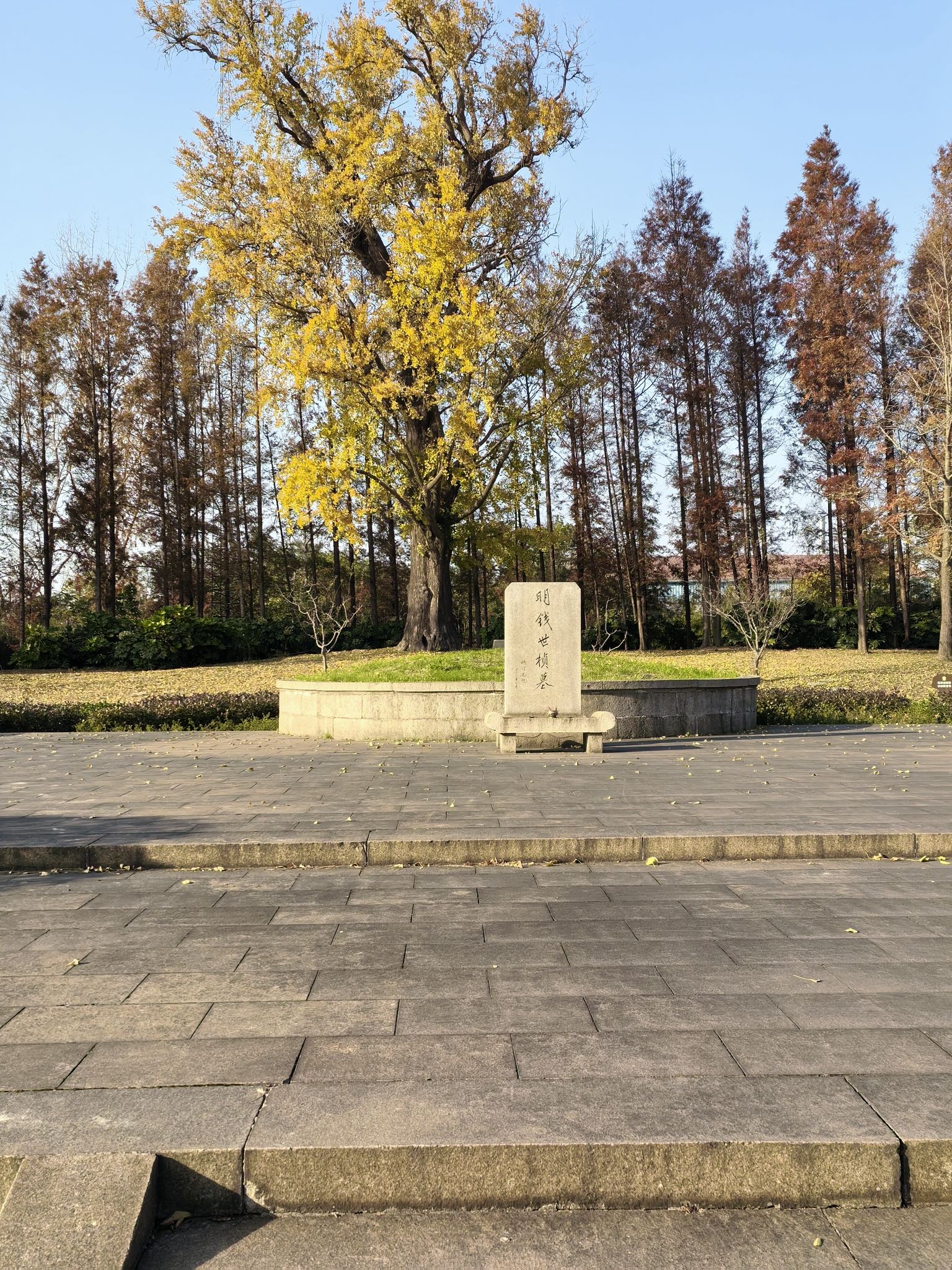 钱世桢文化公园旅行图片 1