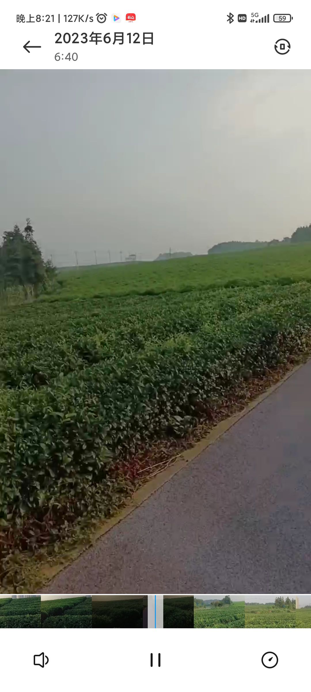 金溪县茶文化园旅行图片 2