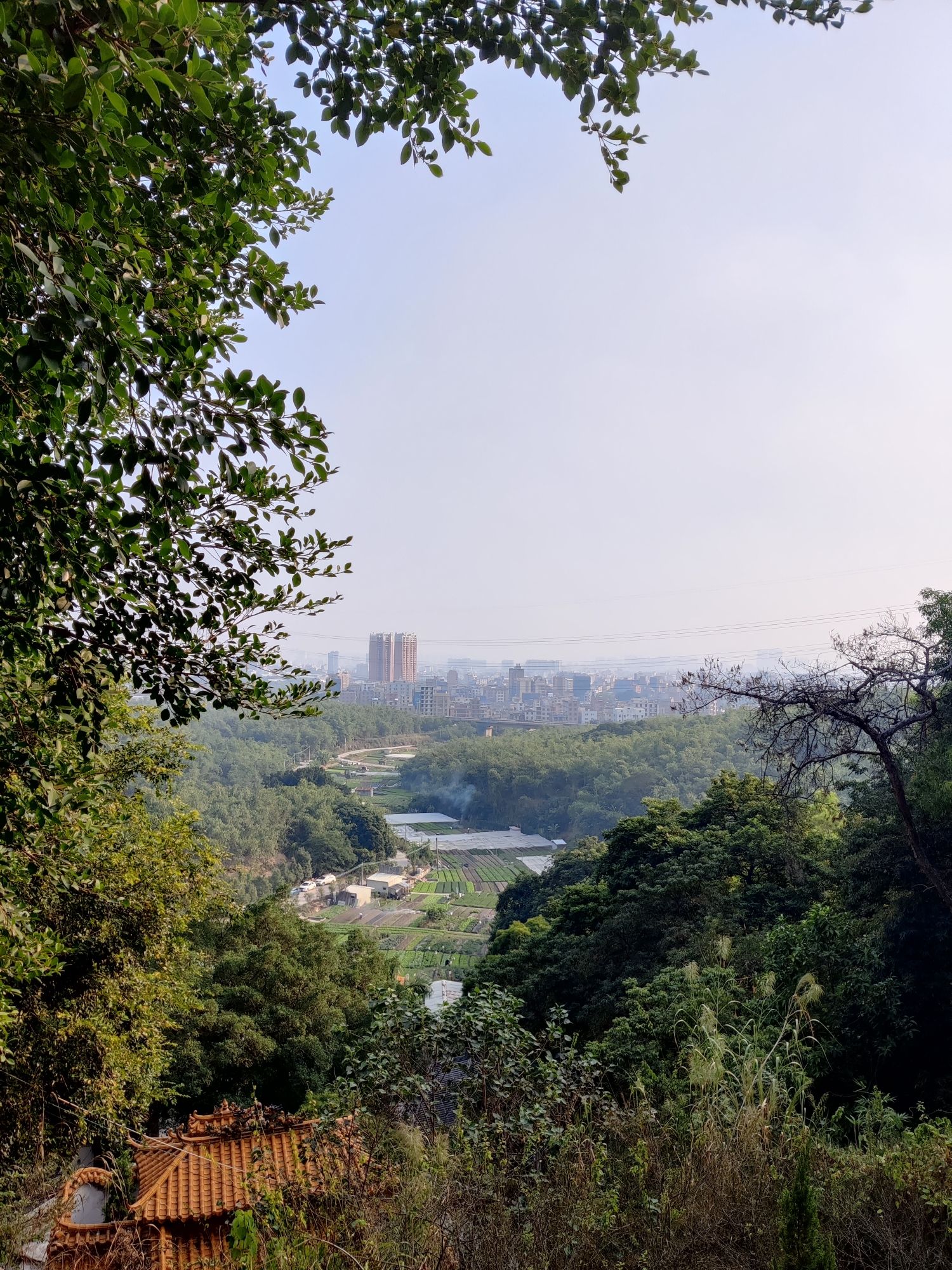 麒麟岩旅行图片 2