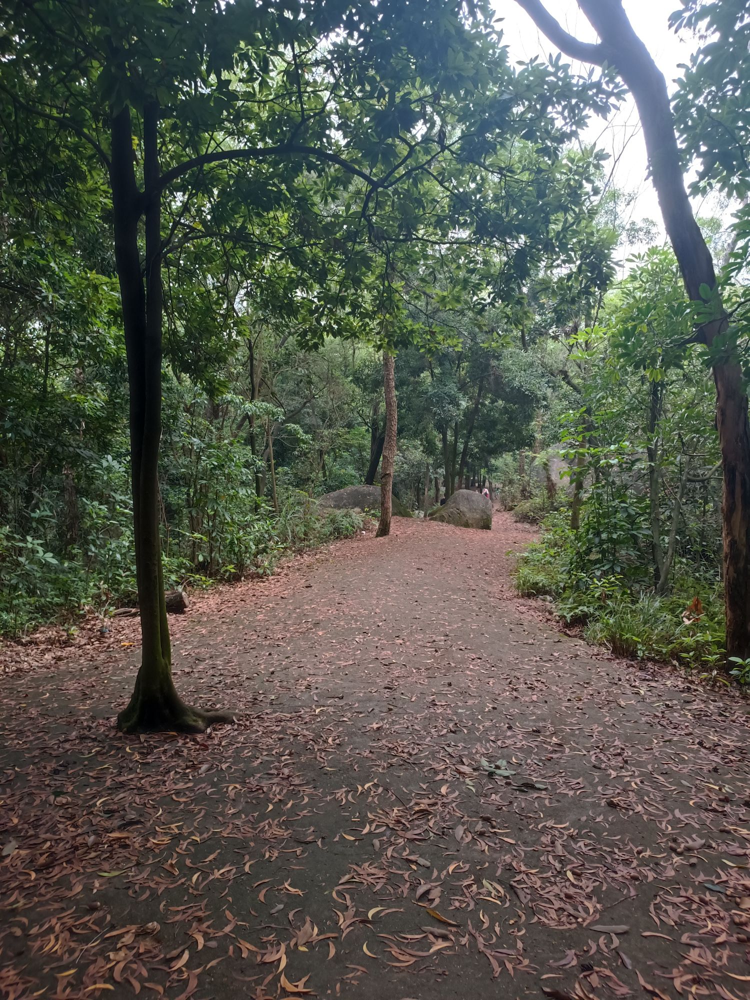 麒麟岩旅行图片 2