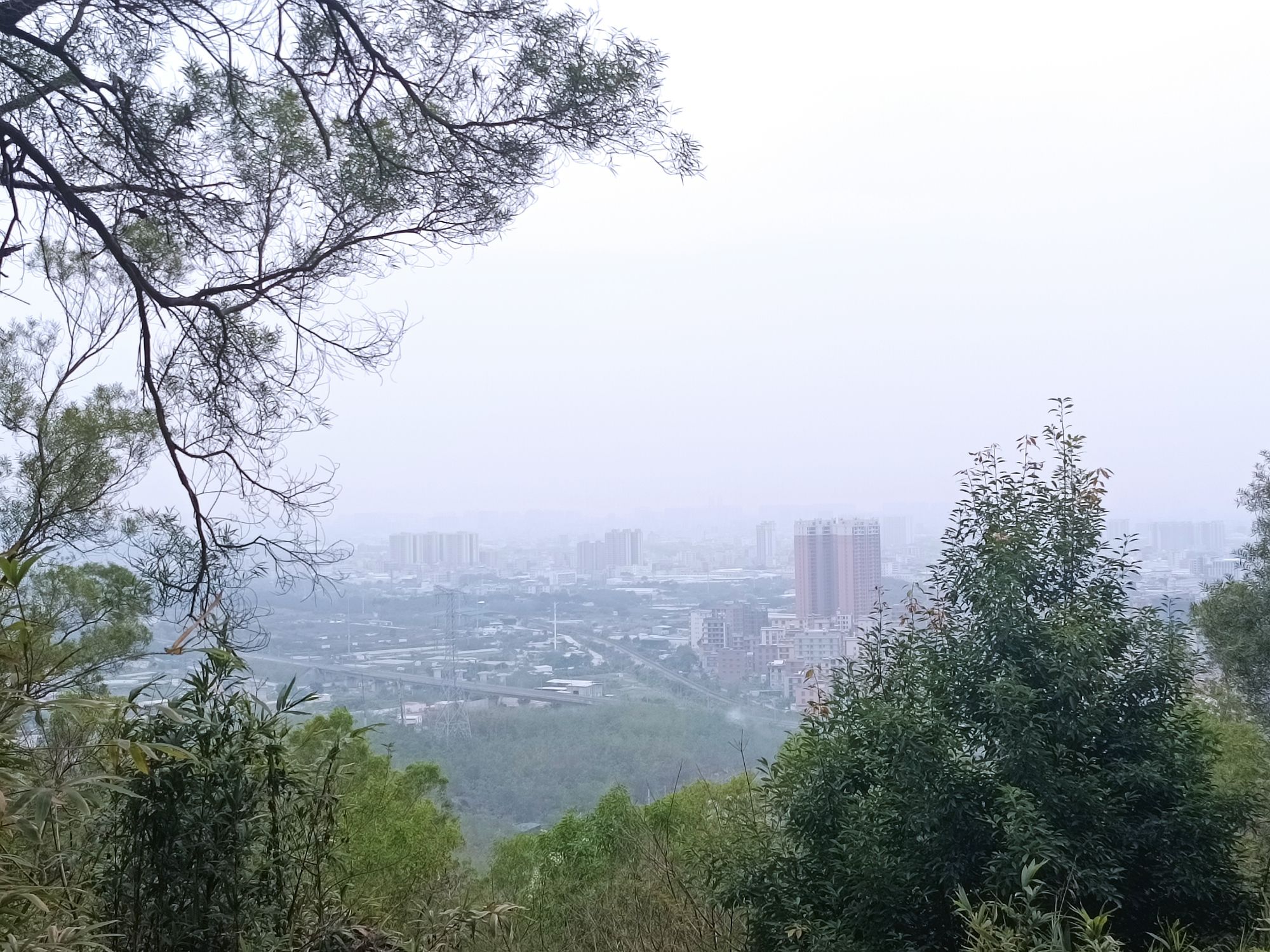 麒麟岩旅行图片 1