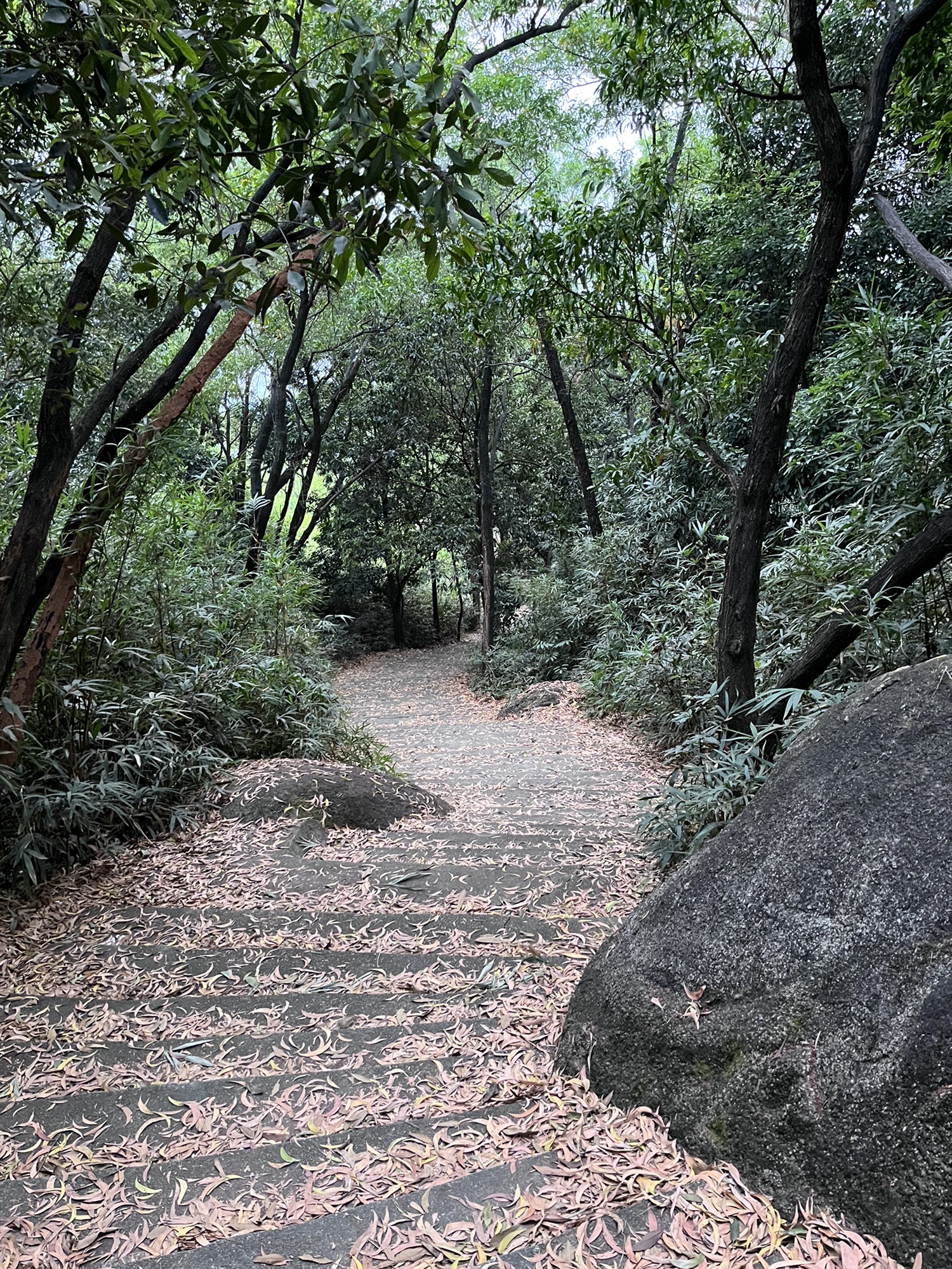麒麟岩旅行图片 2