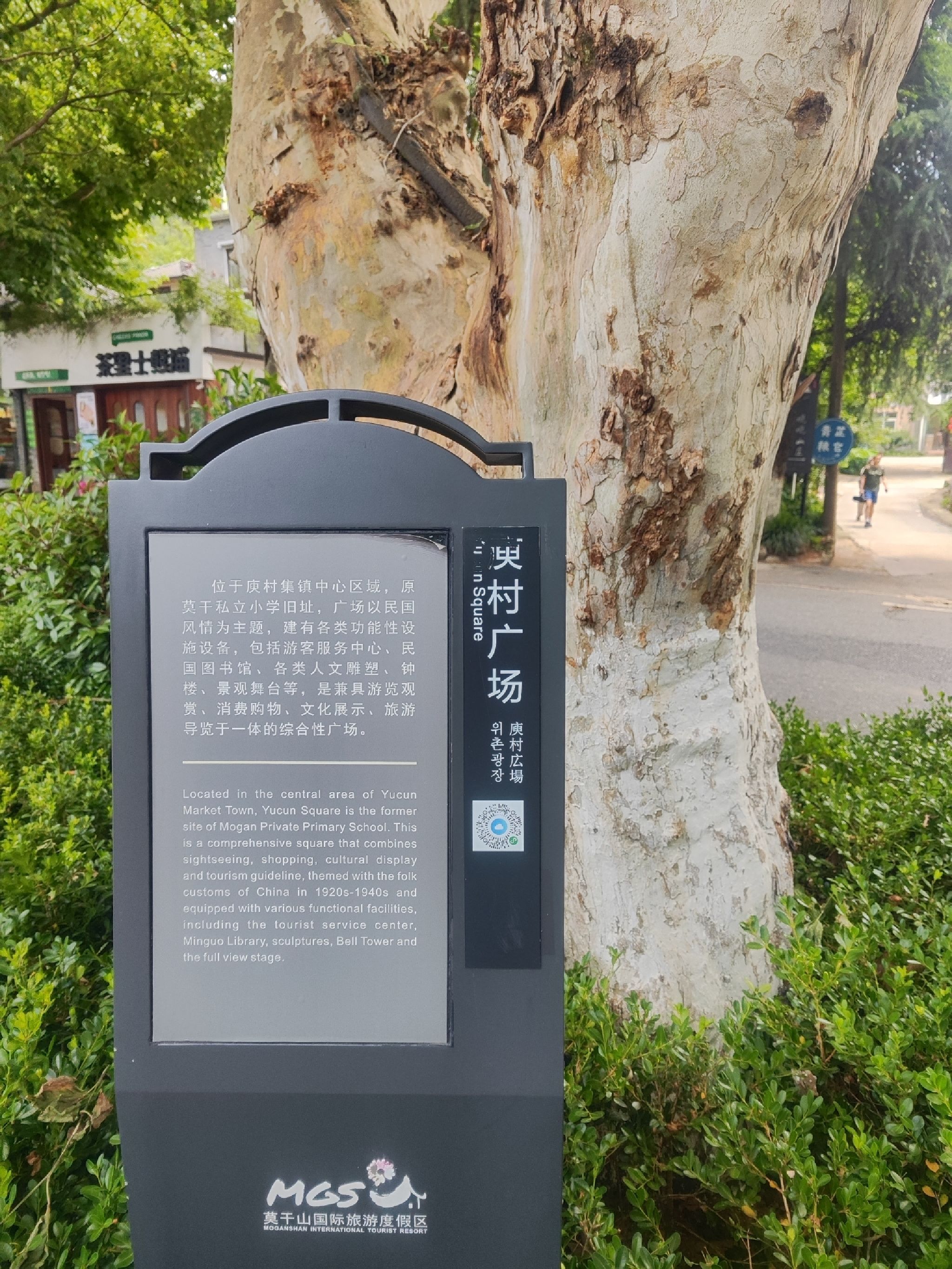 莫干山镇庾村广场旅行图片 1