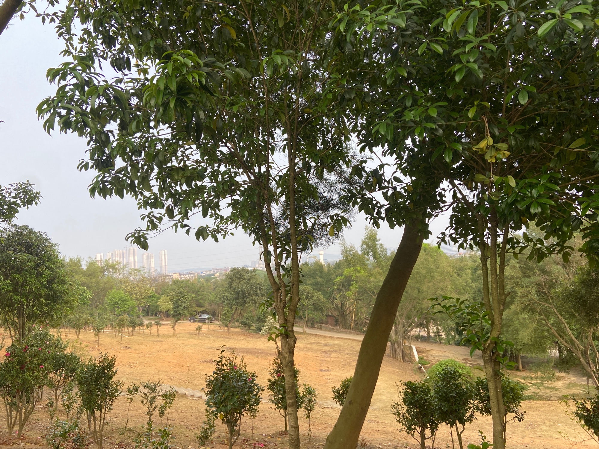 柳州花果山生态园旅行图片 3