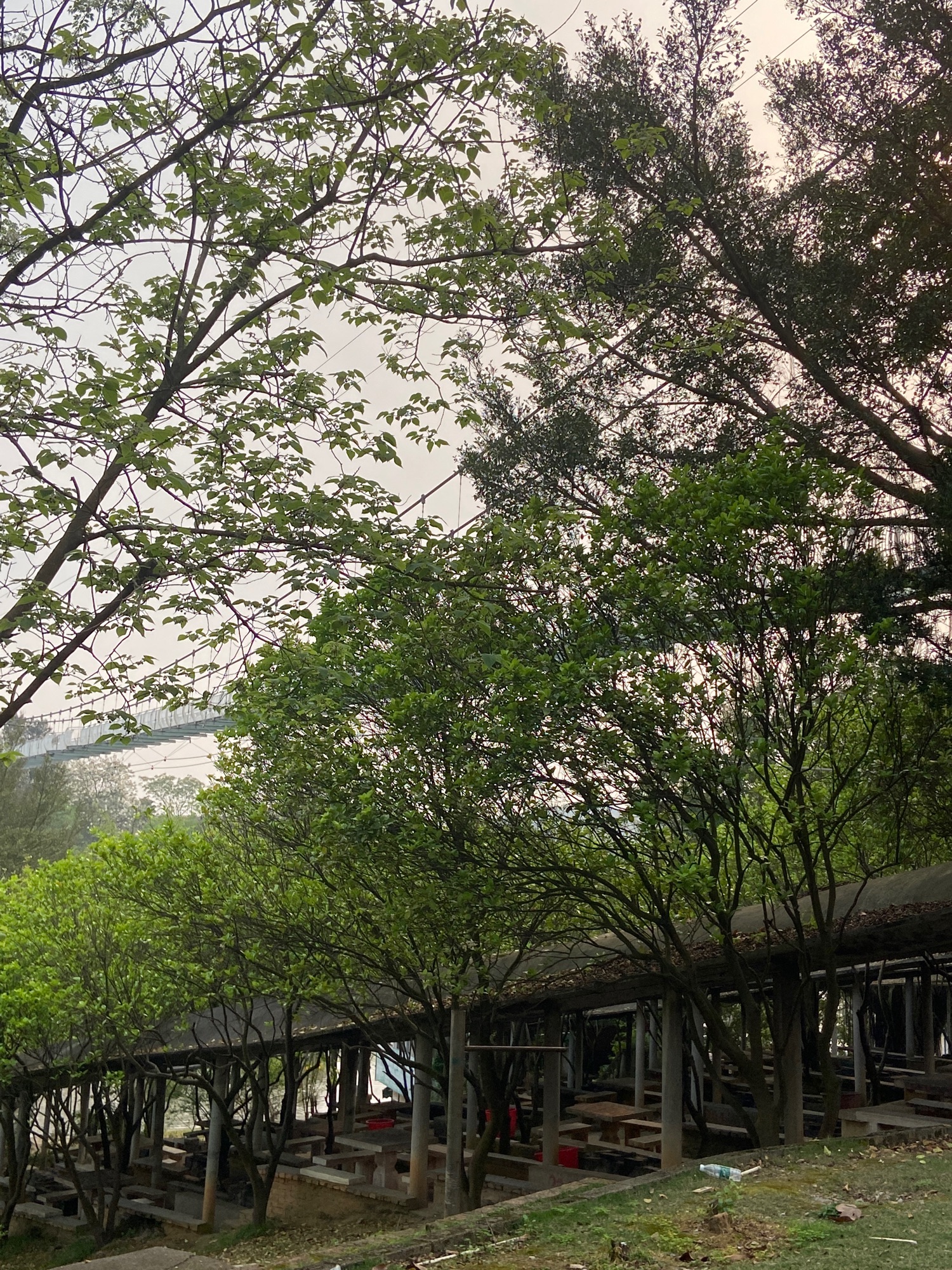 柳州花果山生态园旅行图片 2