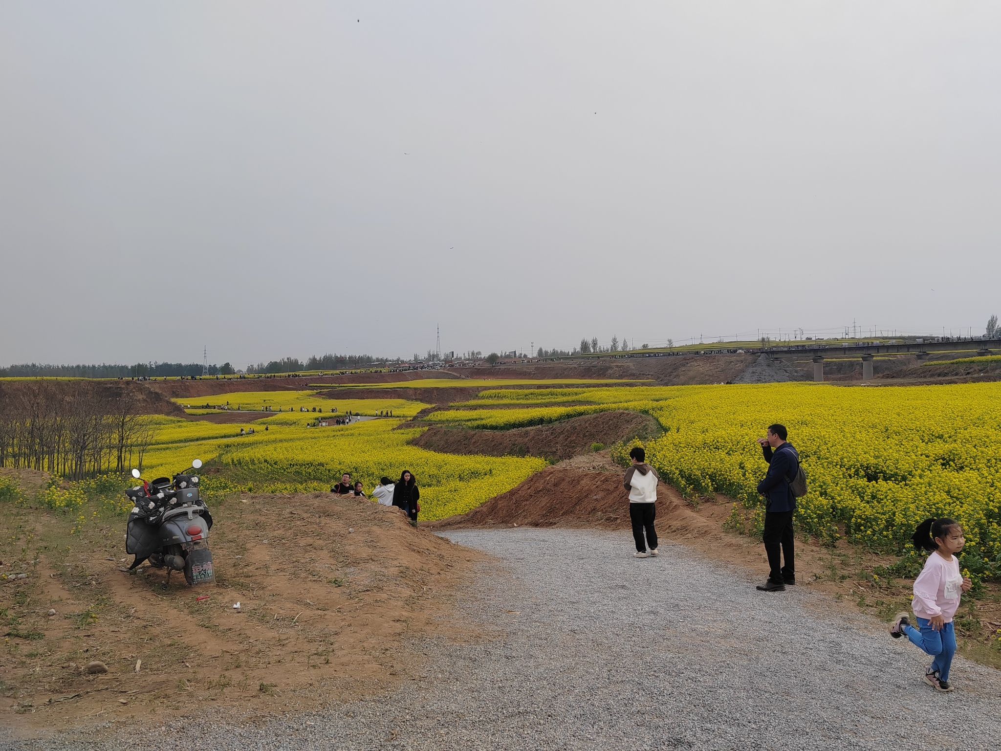 金沙河红薯岭旅行图片 3