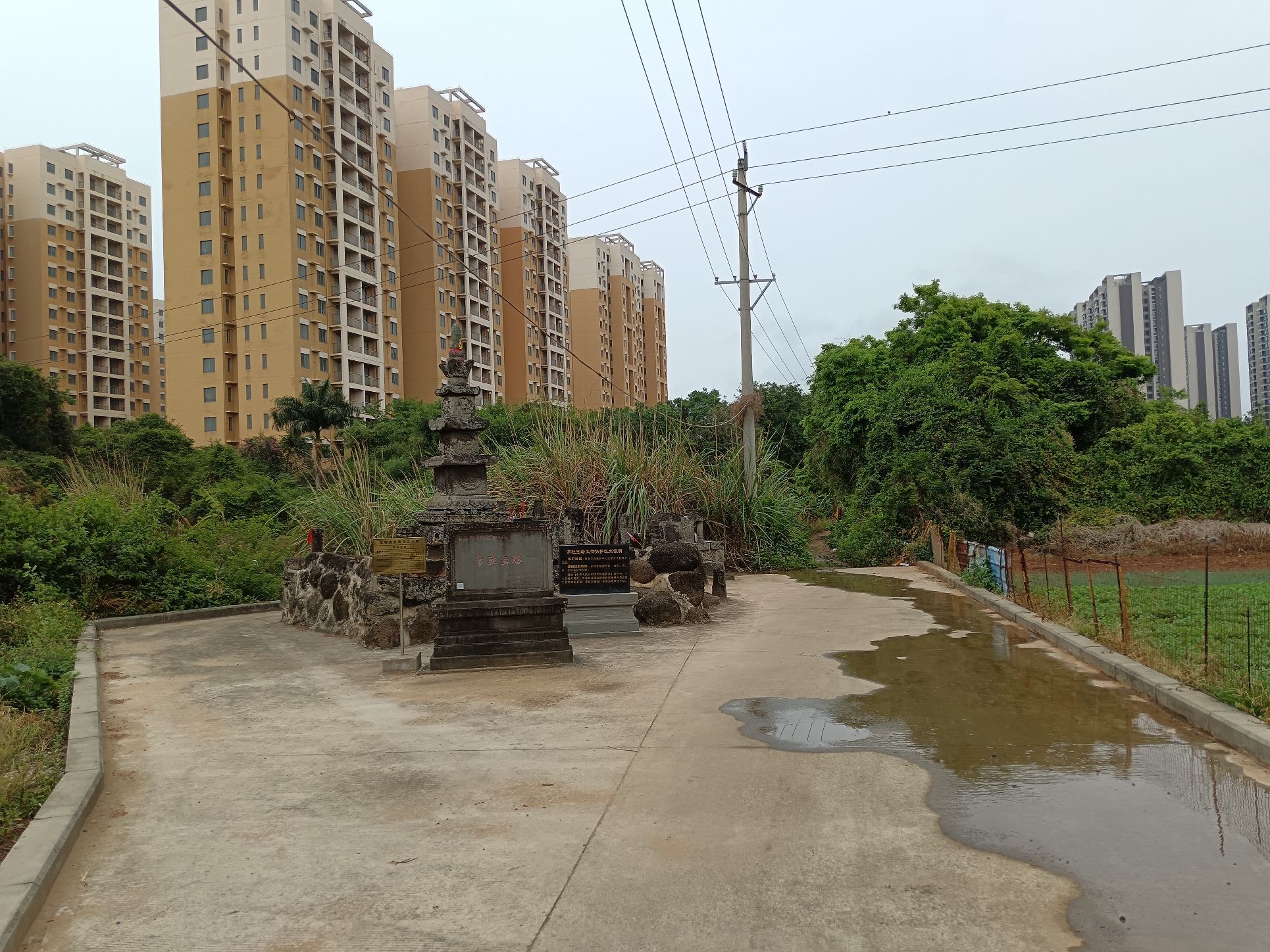 常驻宝塔旅行图片 1