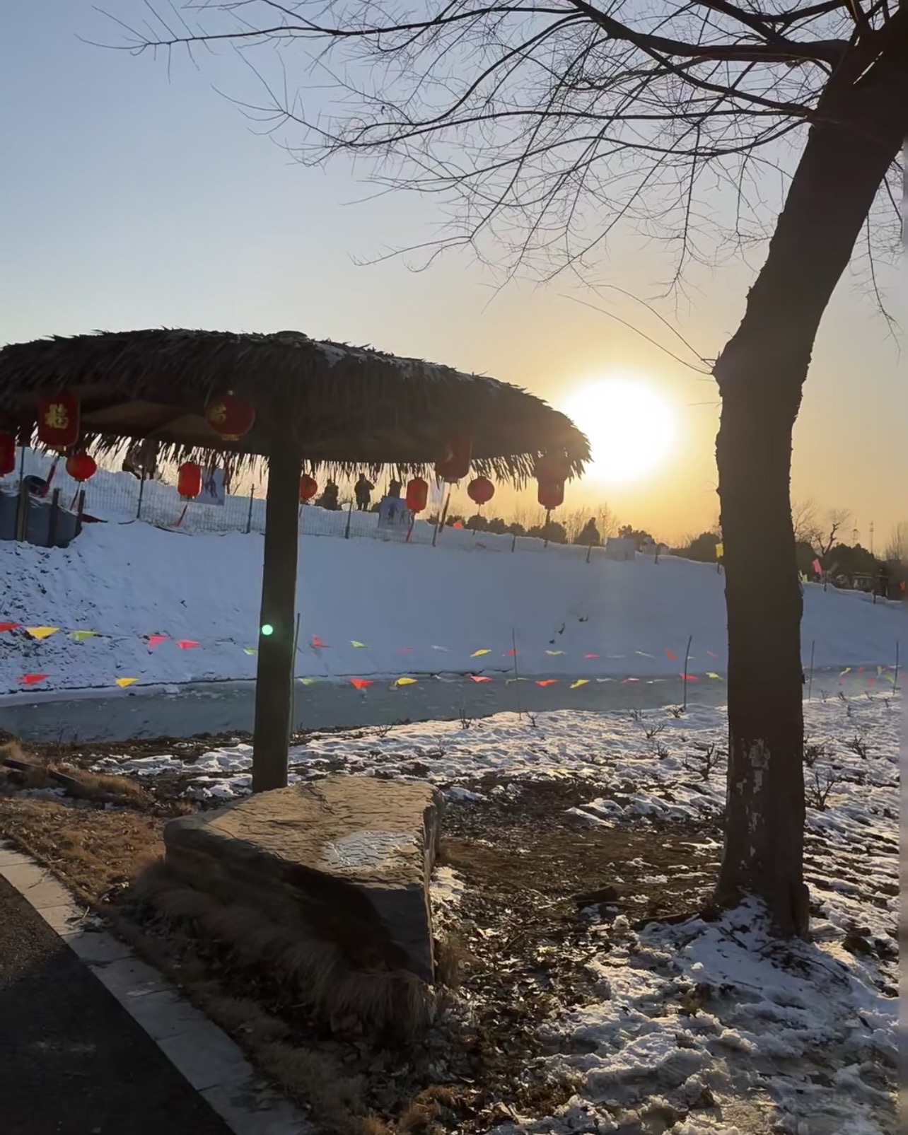 恋蝶谷旅行图片 1
