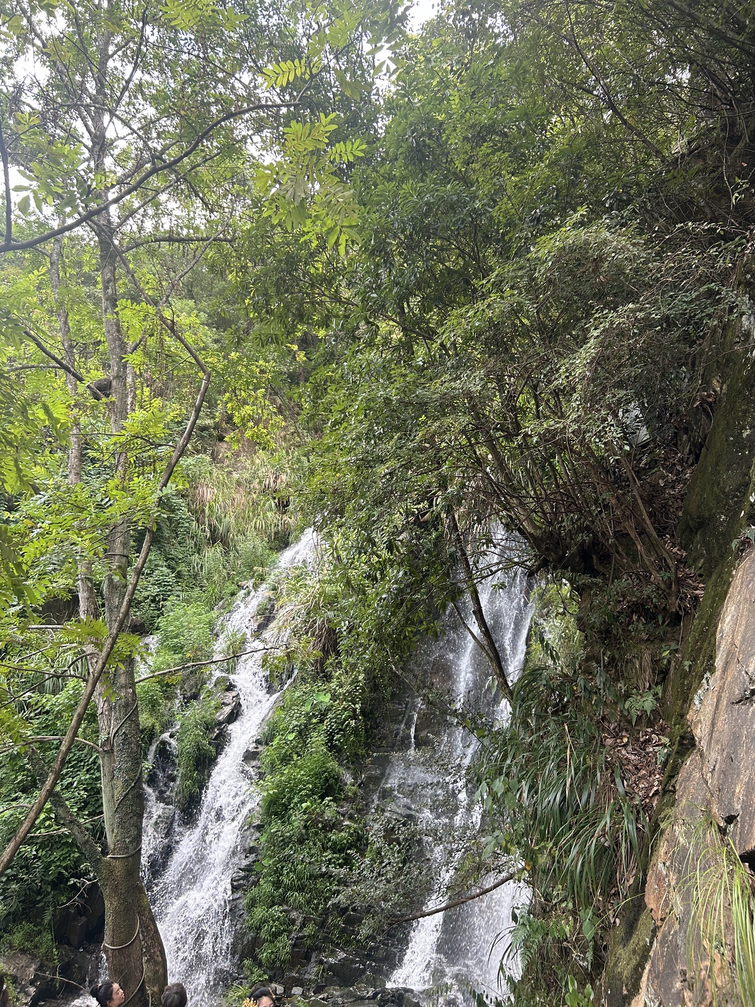 望仙谷景区旅行图片 1