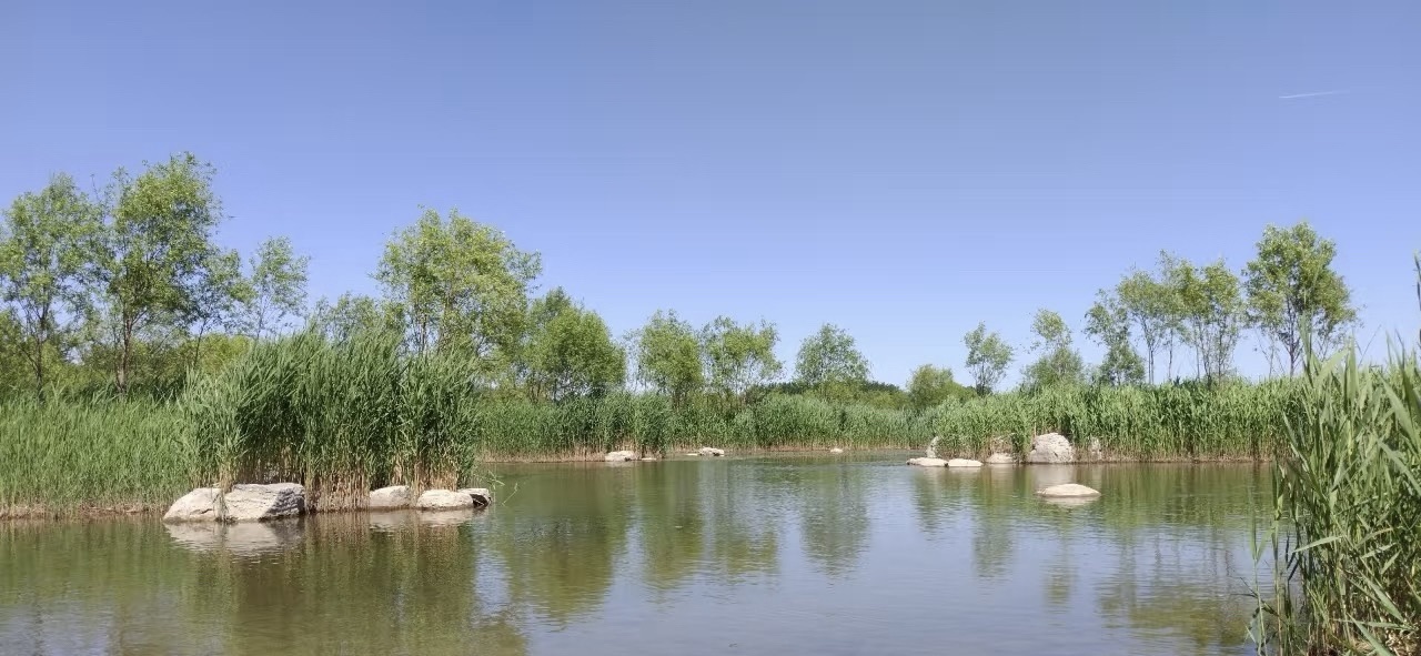 奥林匹克公园旅行图片 1