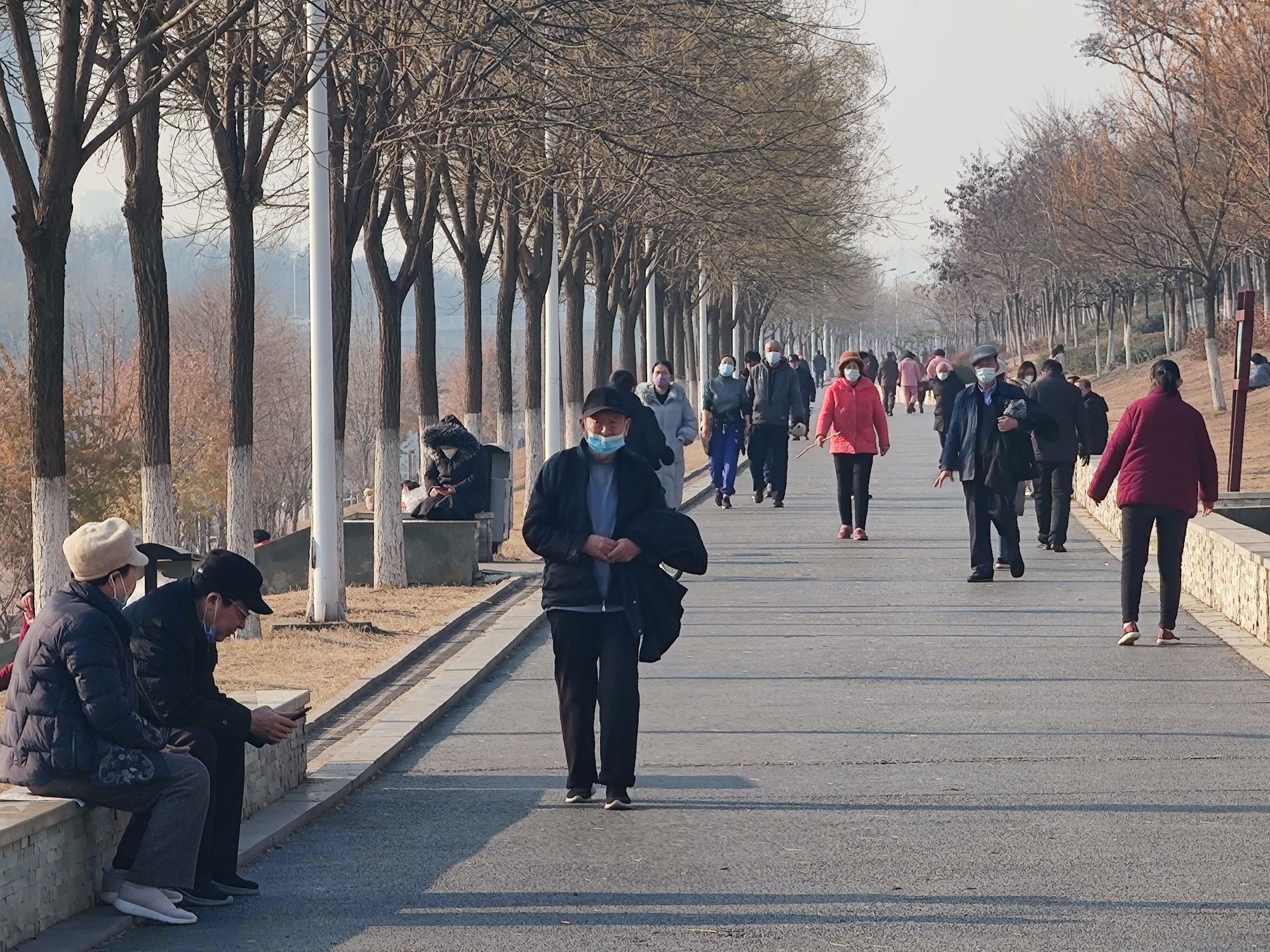 槐园旅行图片 3