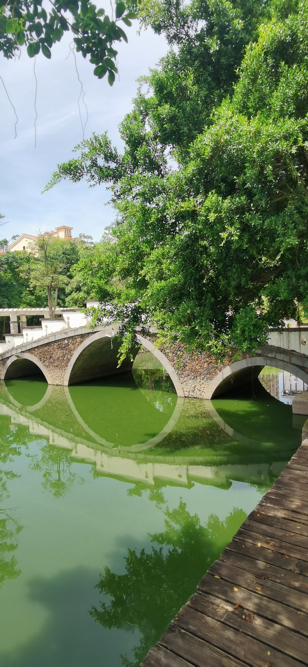 镜湖公园