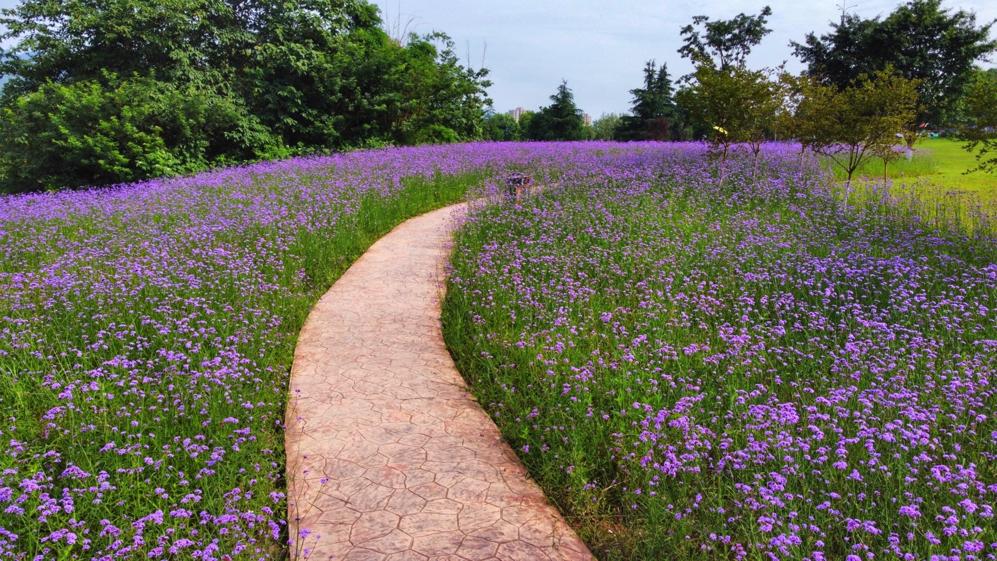 三板溪鹿野公园旅行图片 1