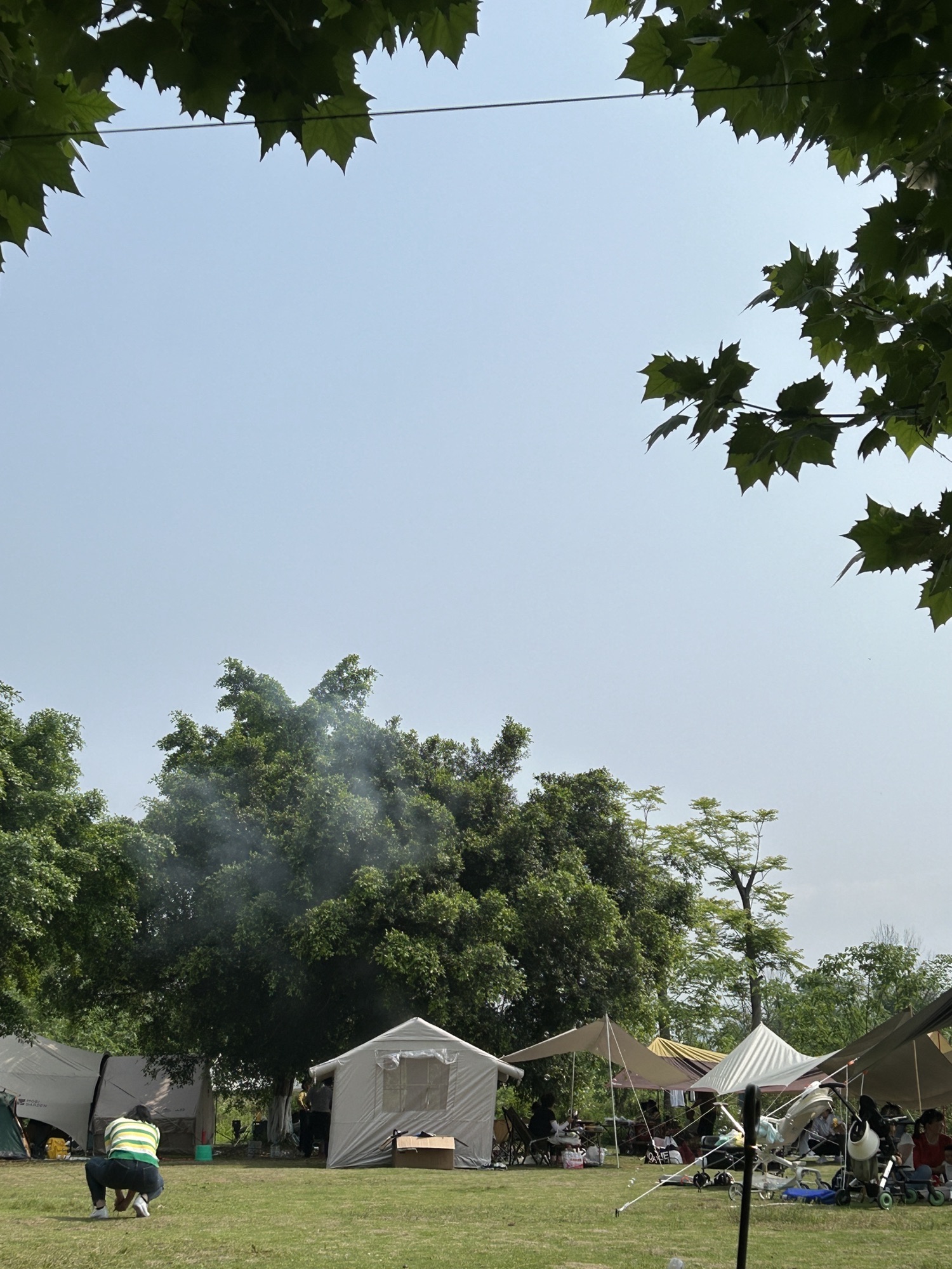 三板溪鹿野公园旅行图片 1