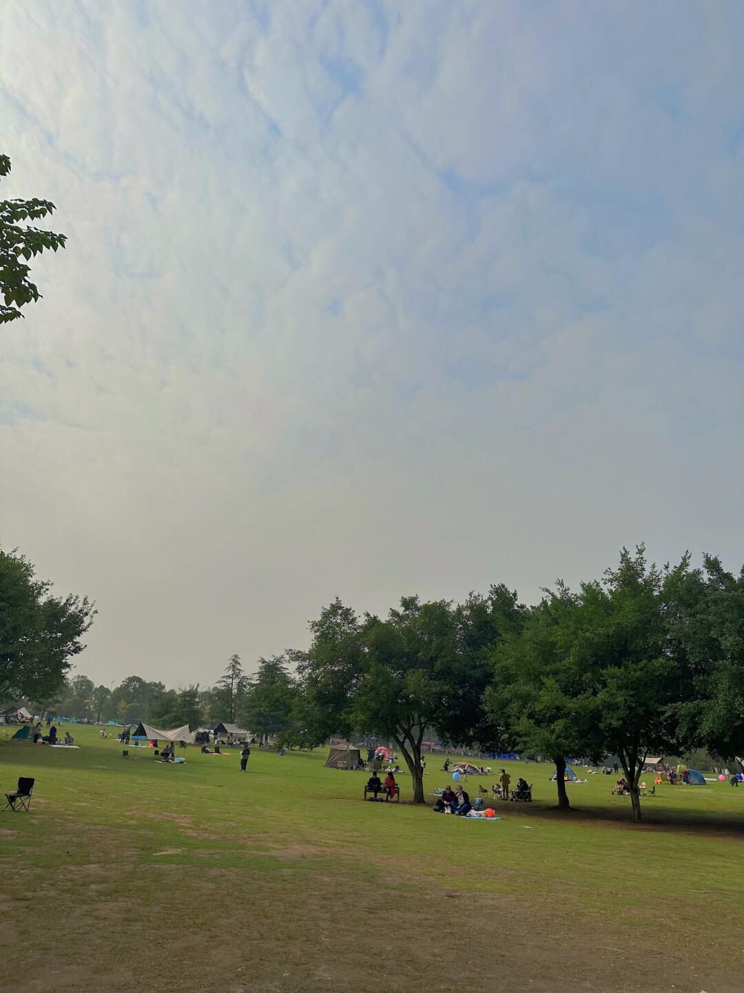 三板溪鹿野公园旅行图片 1