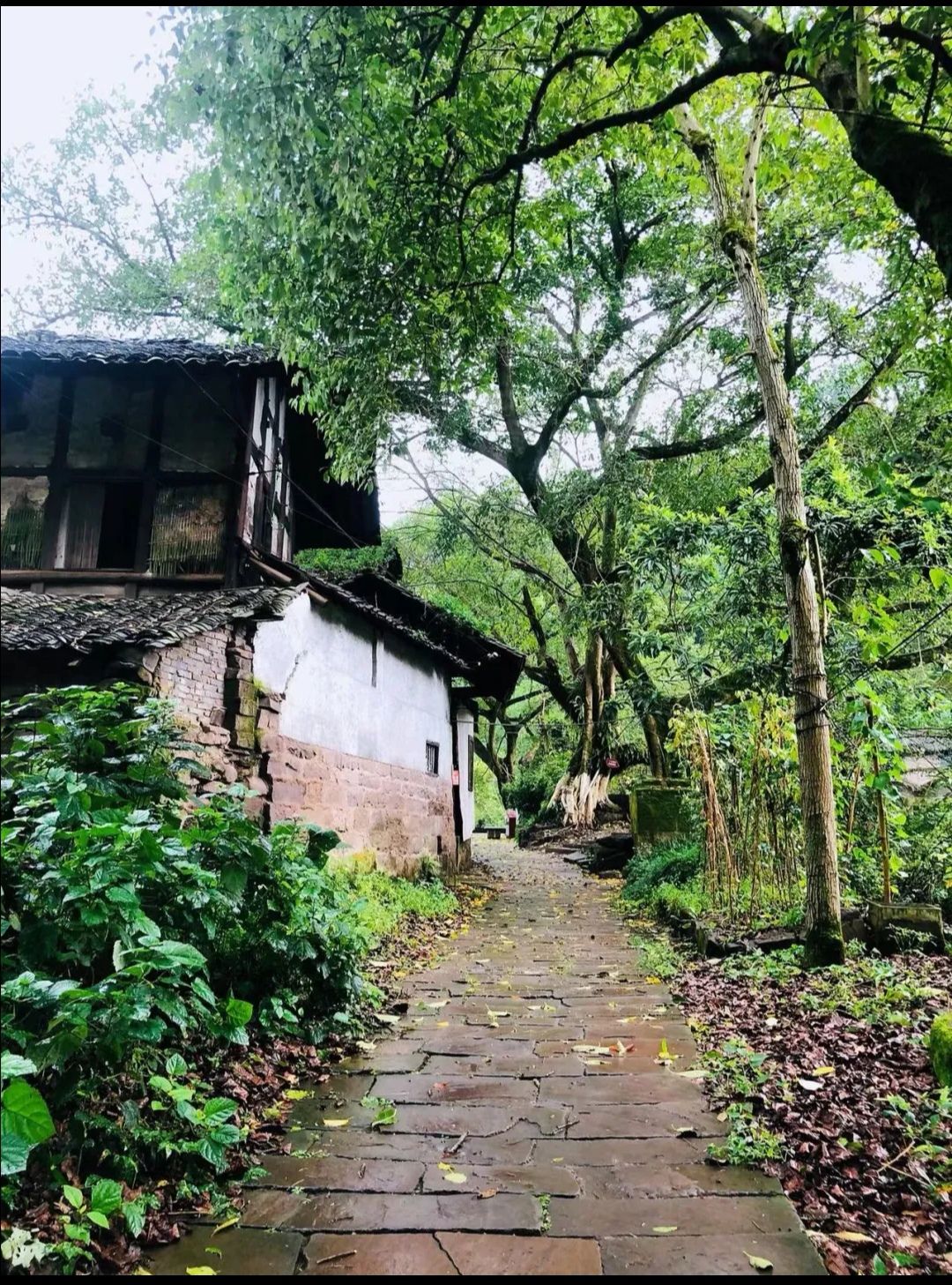 东溪永久桥旅行图片 2