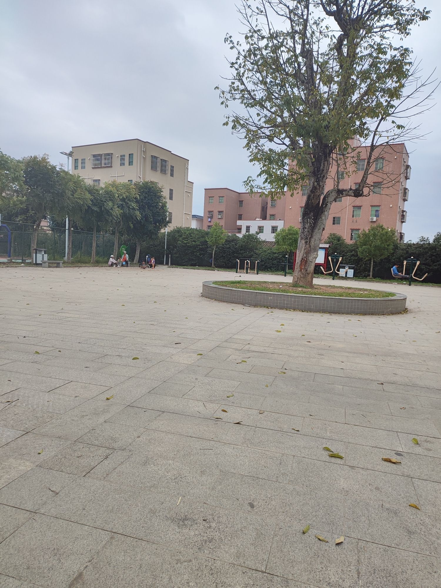 顺居文体公园旅行图片 3