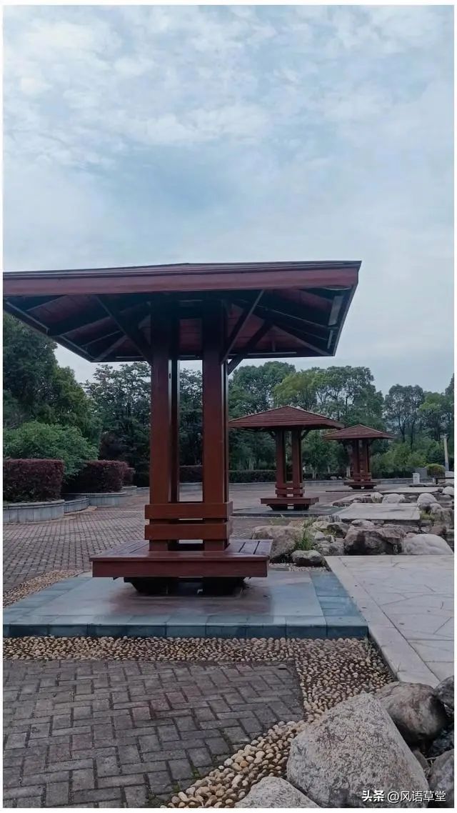 城中公园旅行图片 2