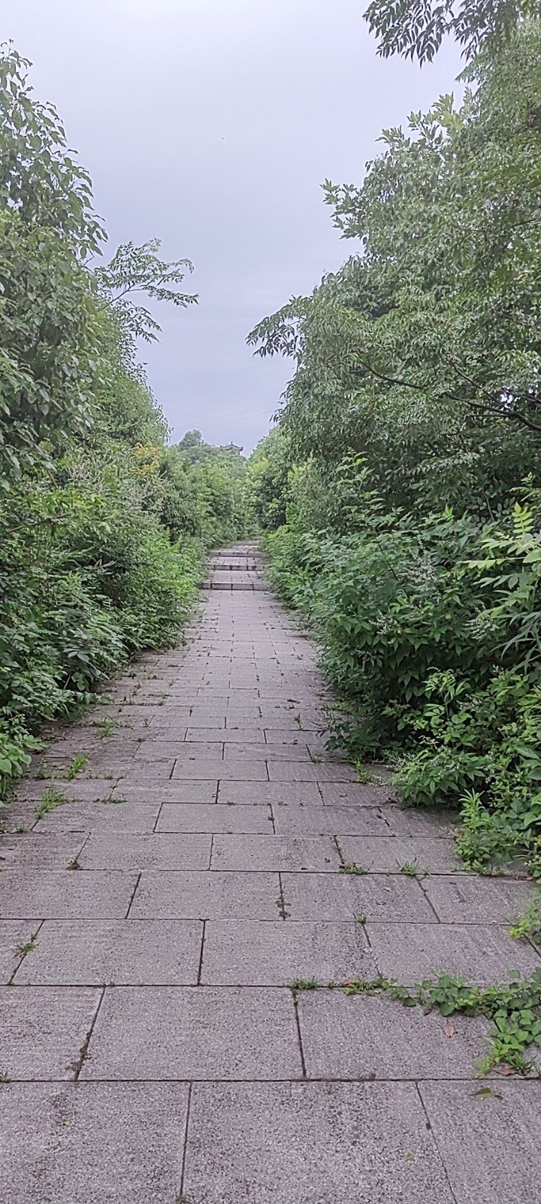 小越伏龙山旅行图片 3