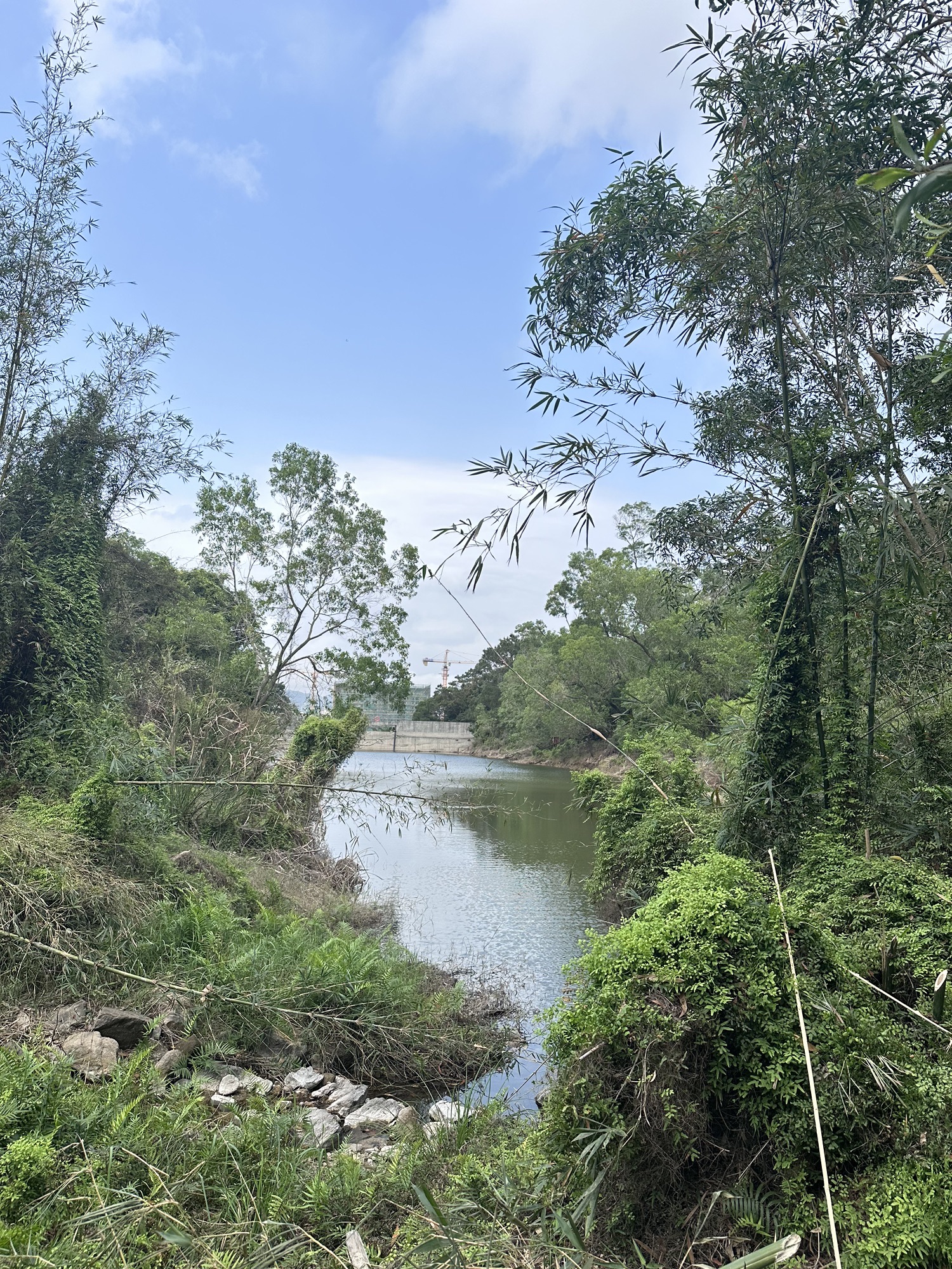 南水森林公园旅行图片 3