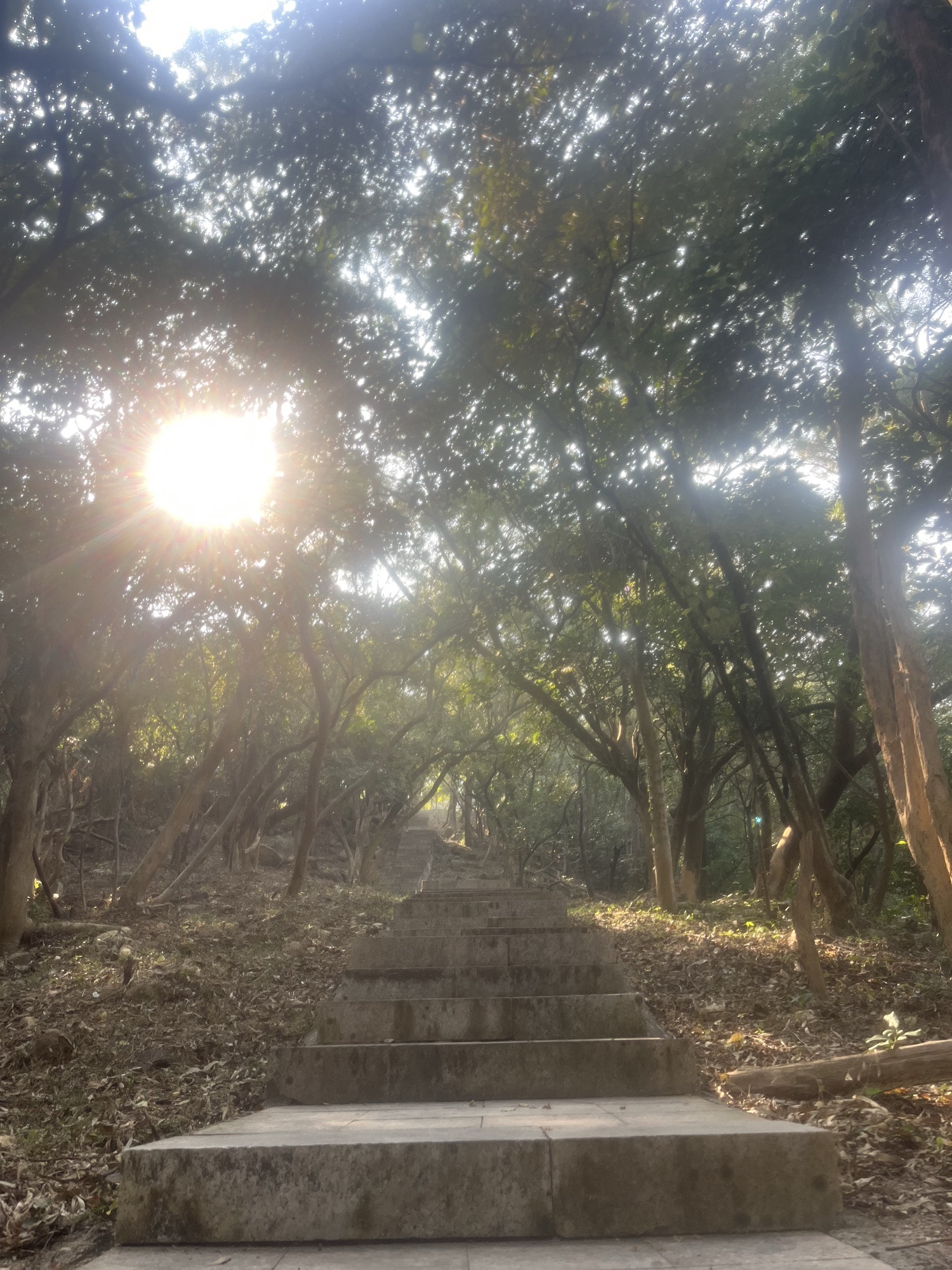 南水森林公园旅行图片 2