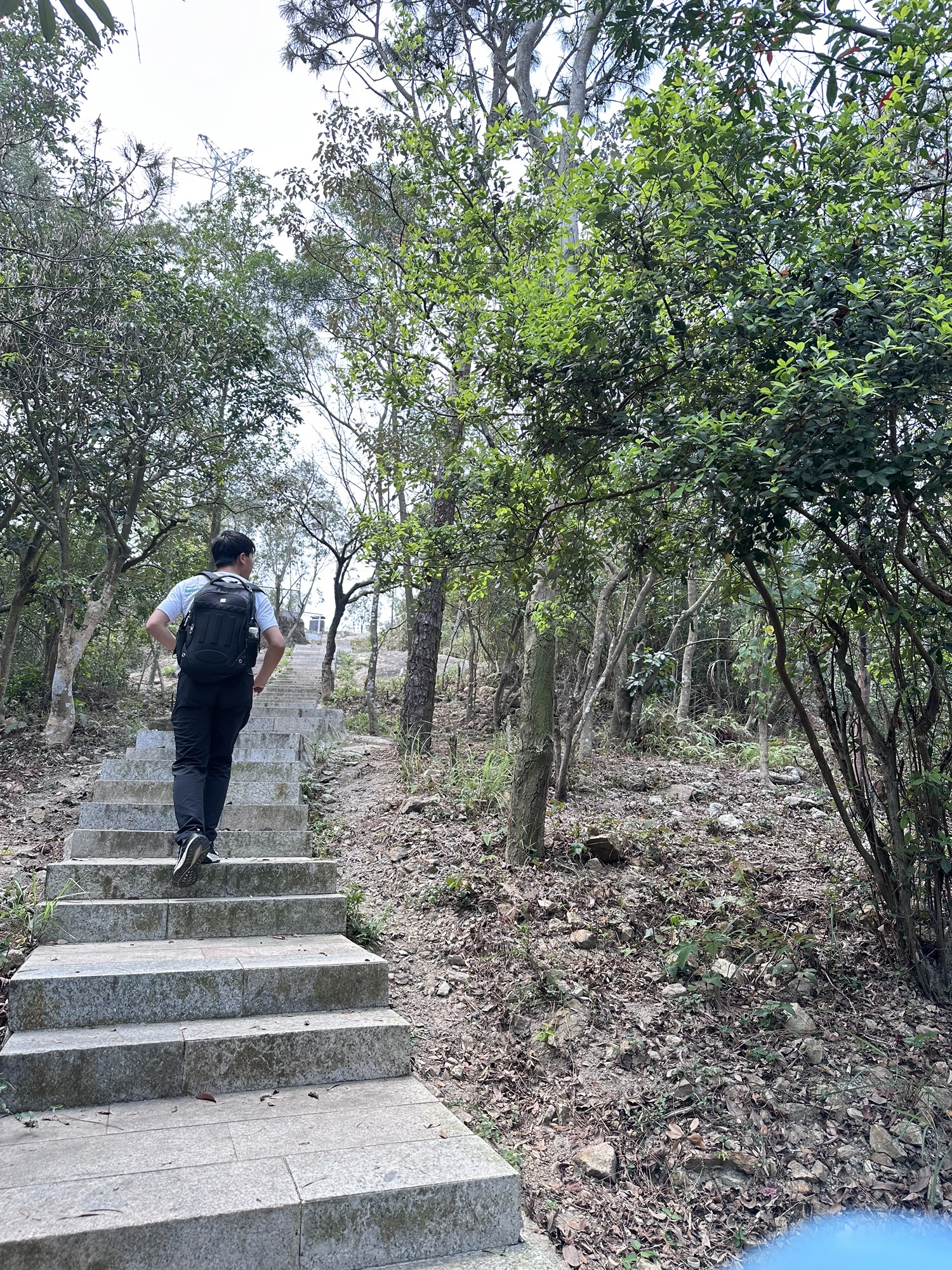 南水森林公园旅行图片 1