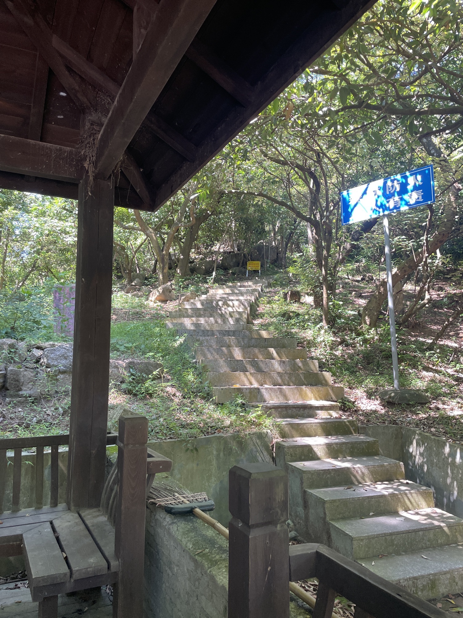 南水森林公园旅行图片 2