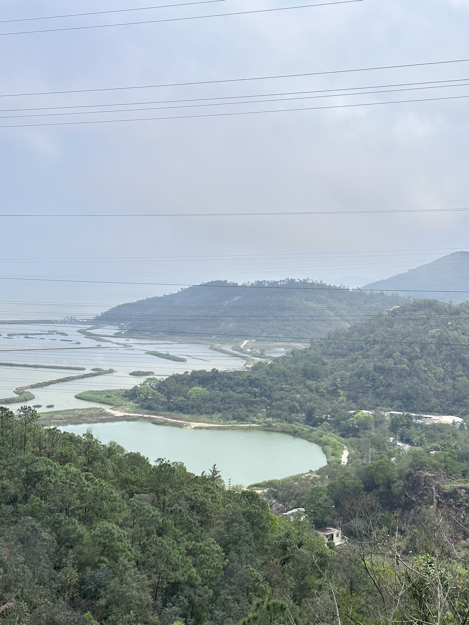 南水森林公园旅行图片 2