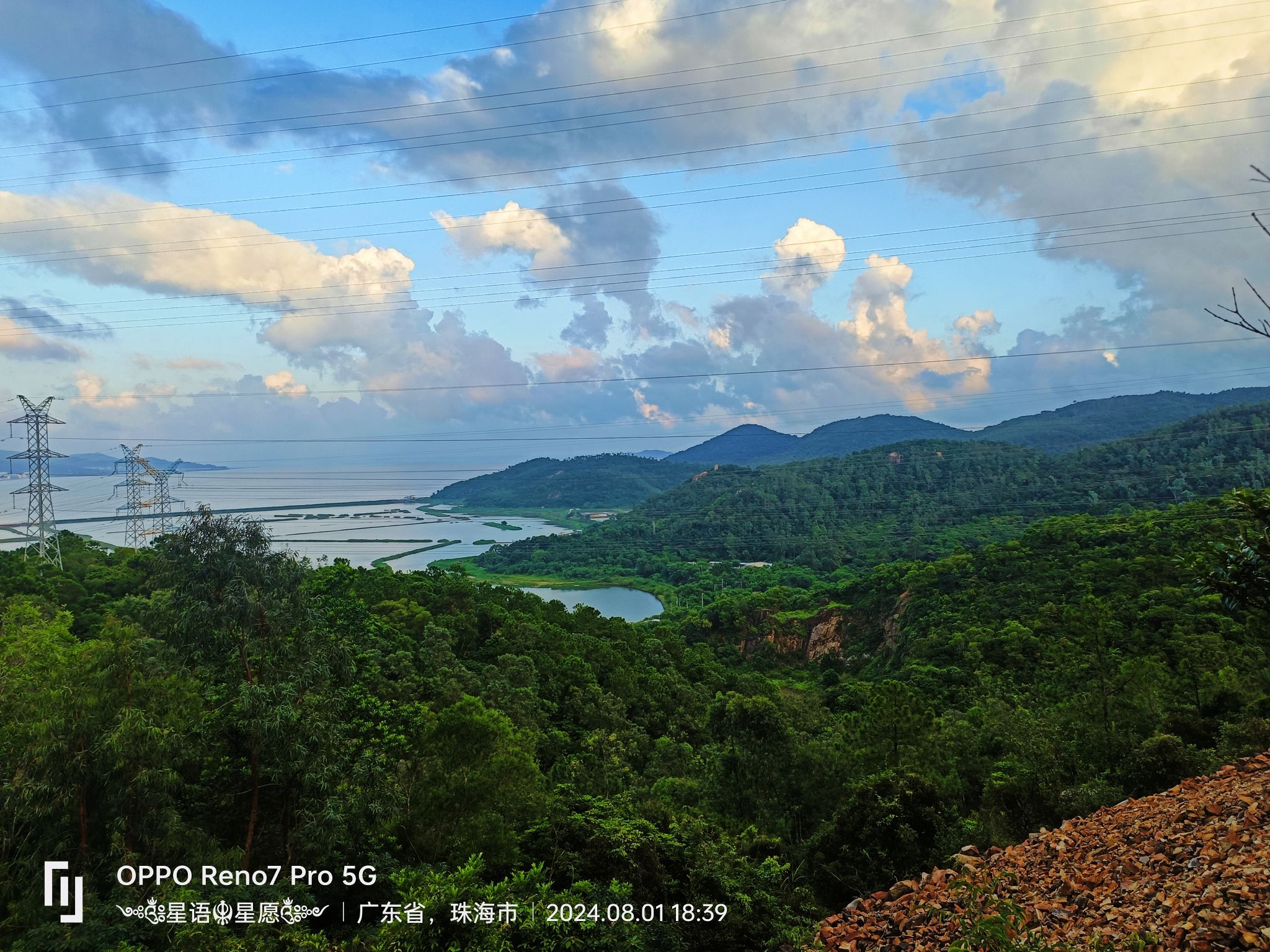 南水森林公园旅行图片 3