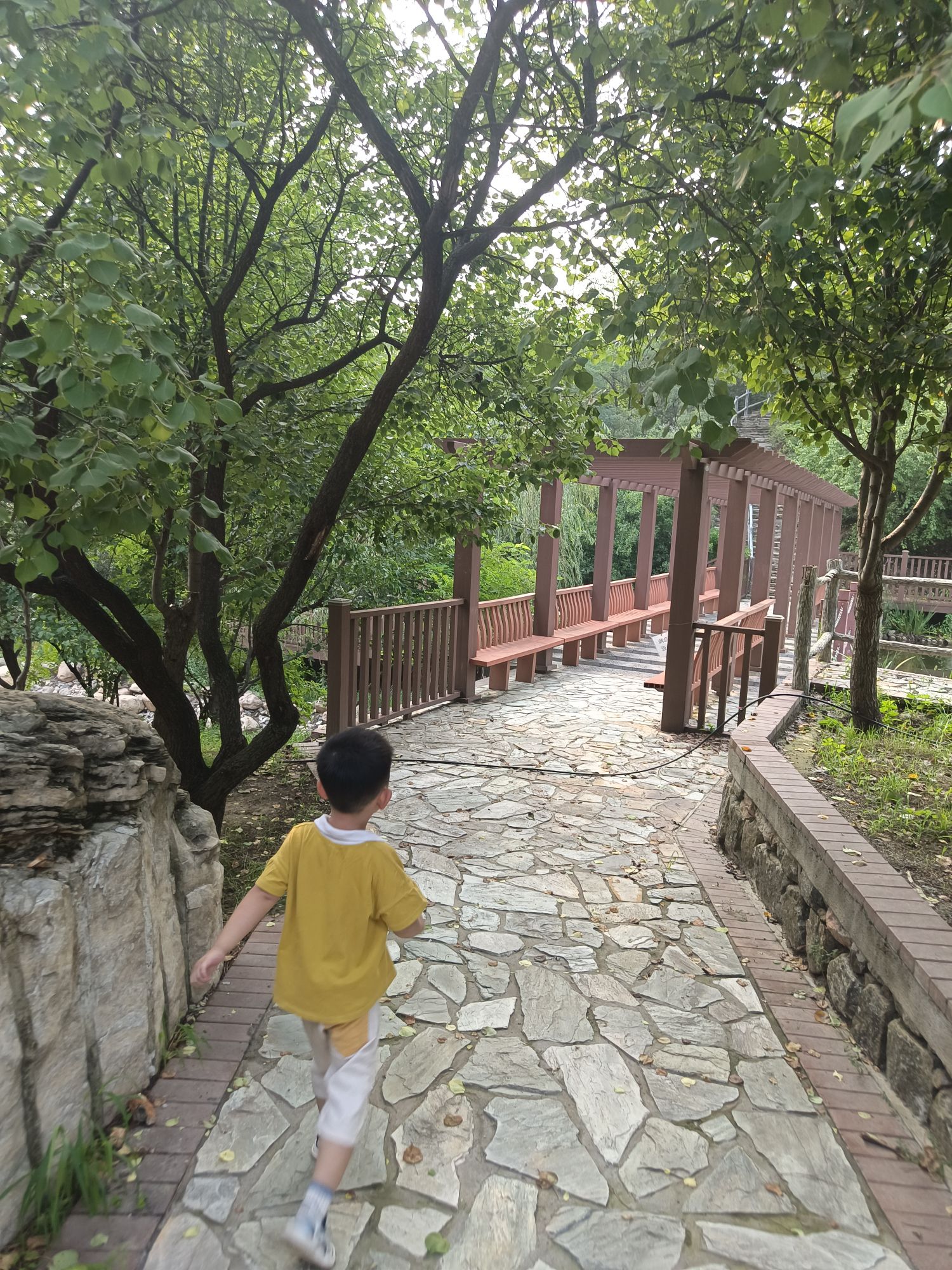 燕山植物园旅行图片 2