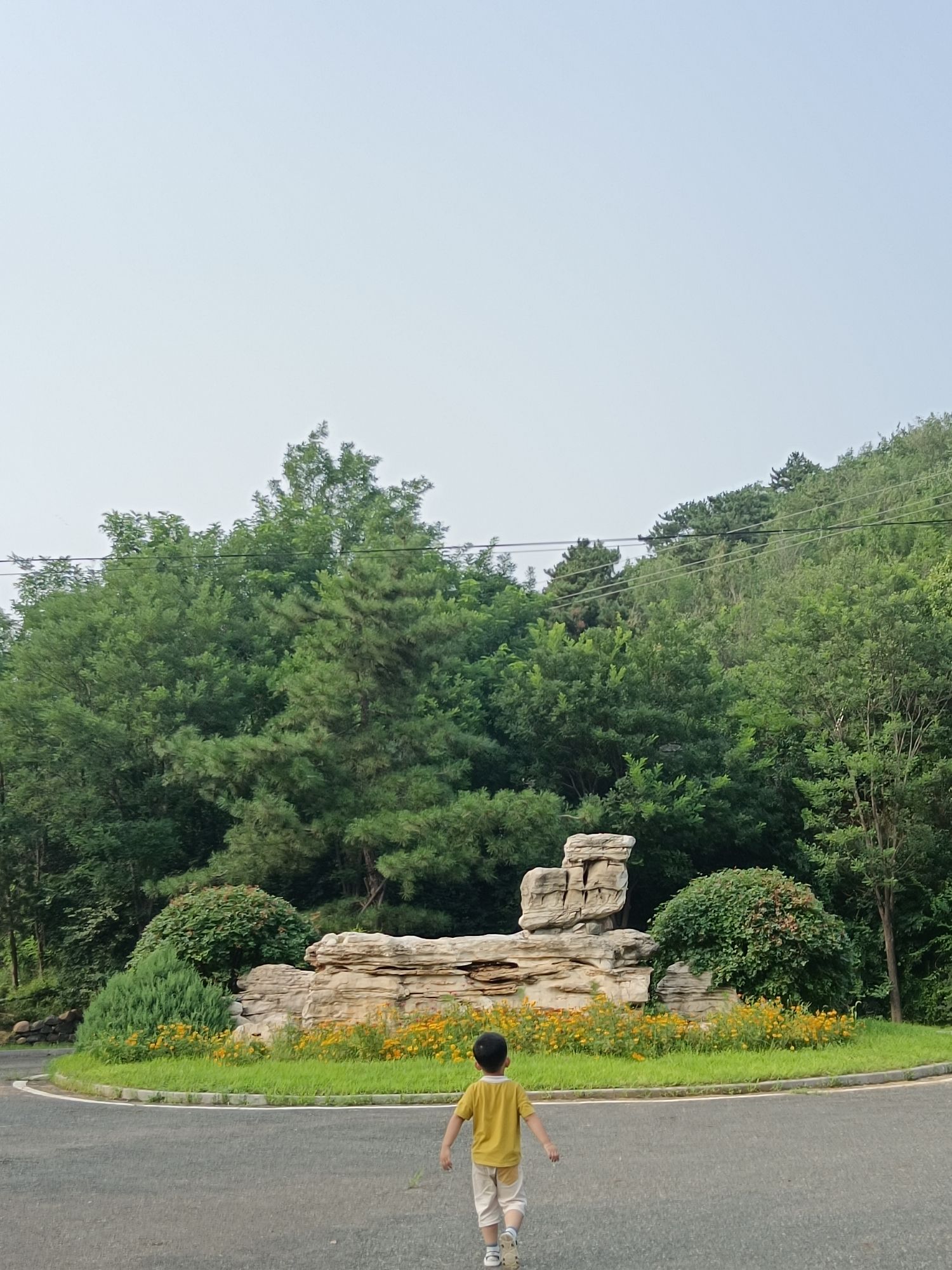 燕山植物园旅行图片 1