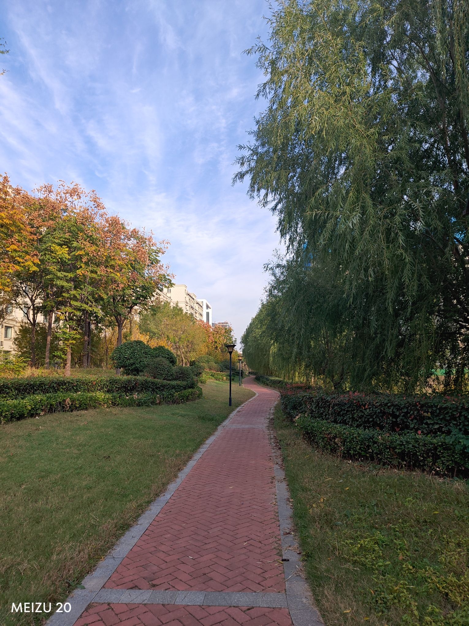 翰林公园旅行图片 2