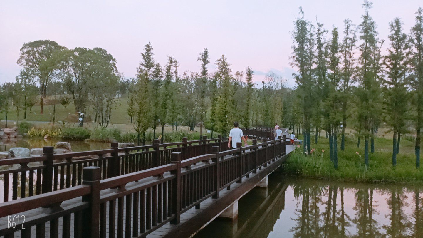 翠湖公园旅行图片 3