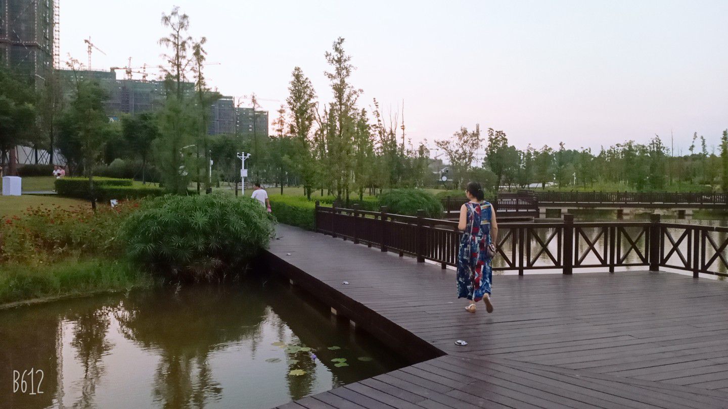 翠湖公园旅行图片 2