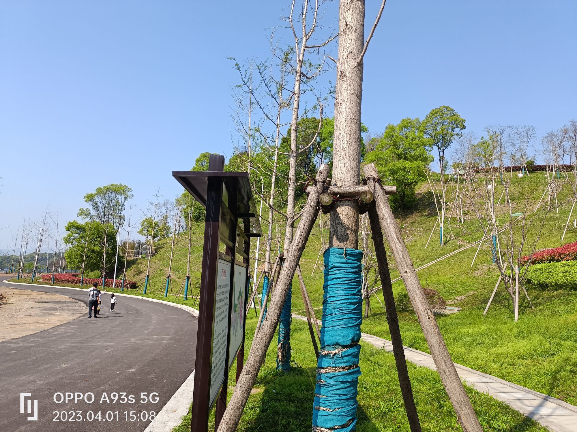 翠湖公园旅行图片 3