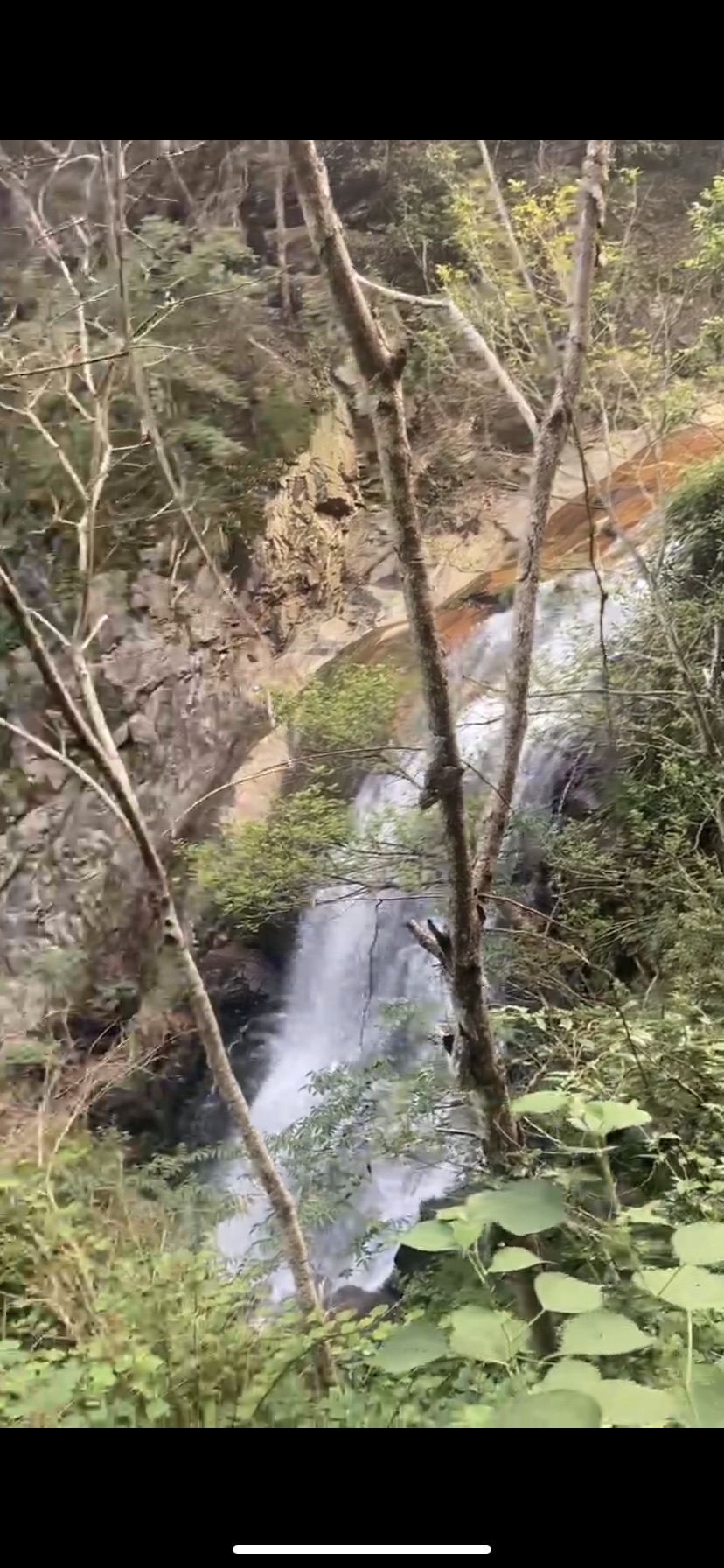 大光洞景区旅行图片 2