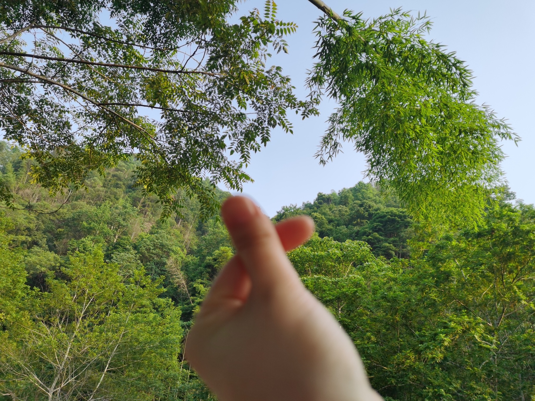 大光洞景区旅行图片 3