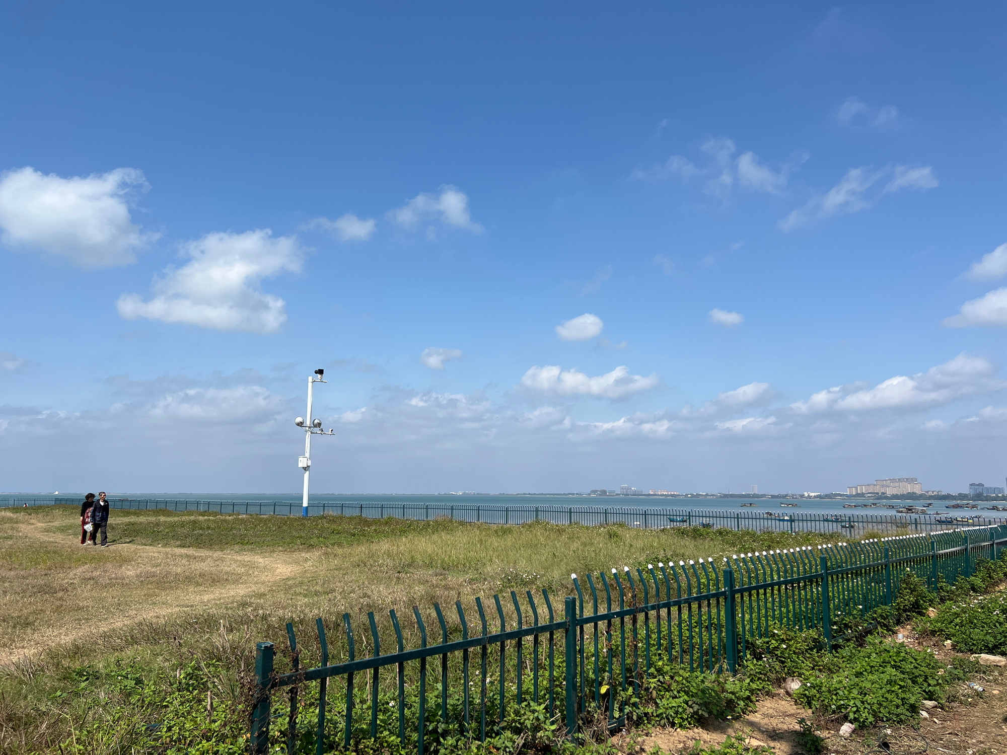 高德花海公园旅行图片 1