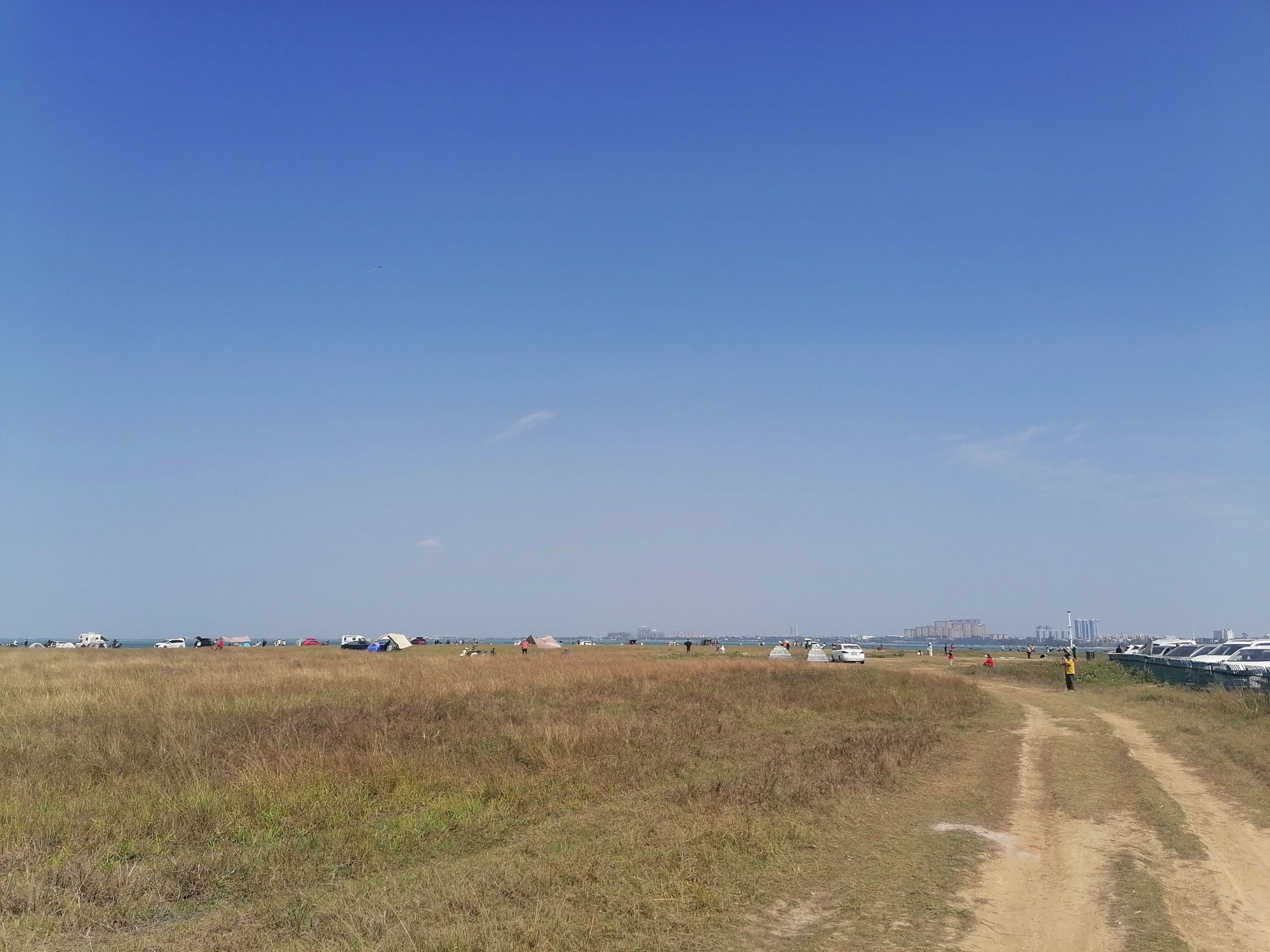 高德花海公园旅行图片 2